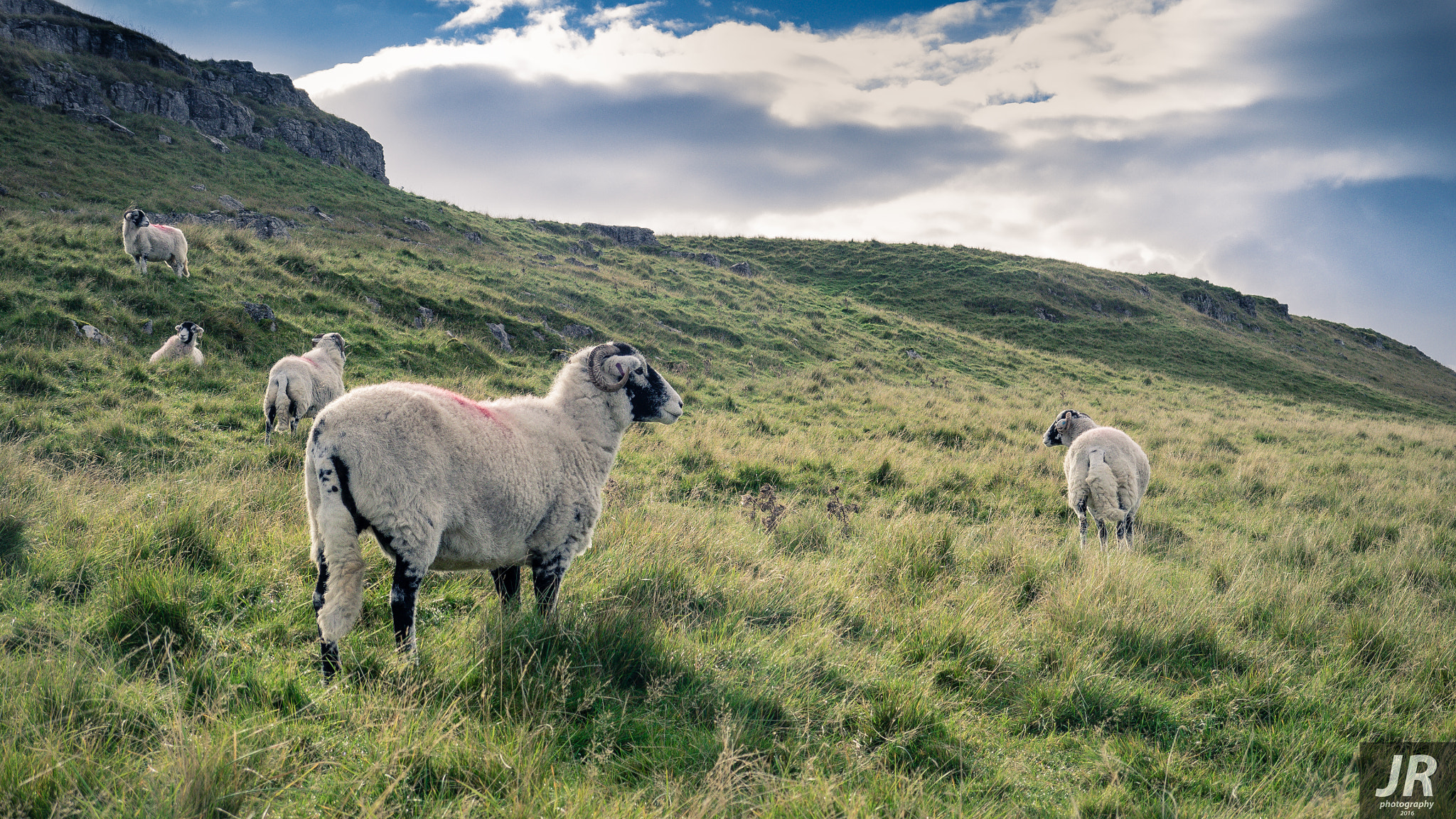 Olympus OM-D E-M1 sample photo. Norber erratics, north yorkshire photography