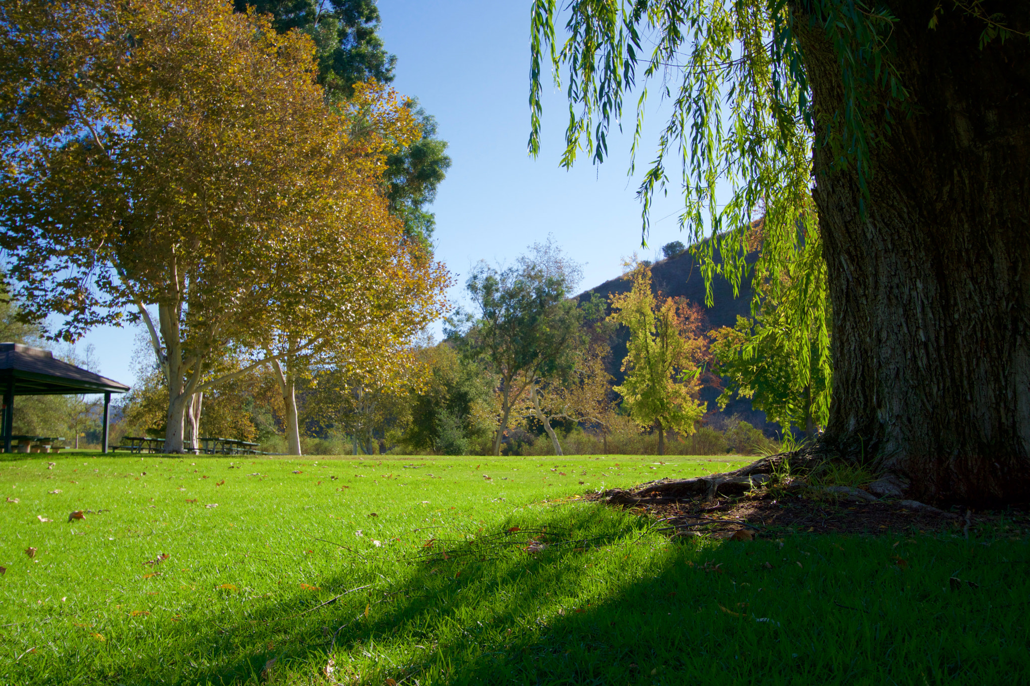 Tamron 18-270mm F3.5-6.3 Di II PZD sample photo. Carbon canyon regional park photography