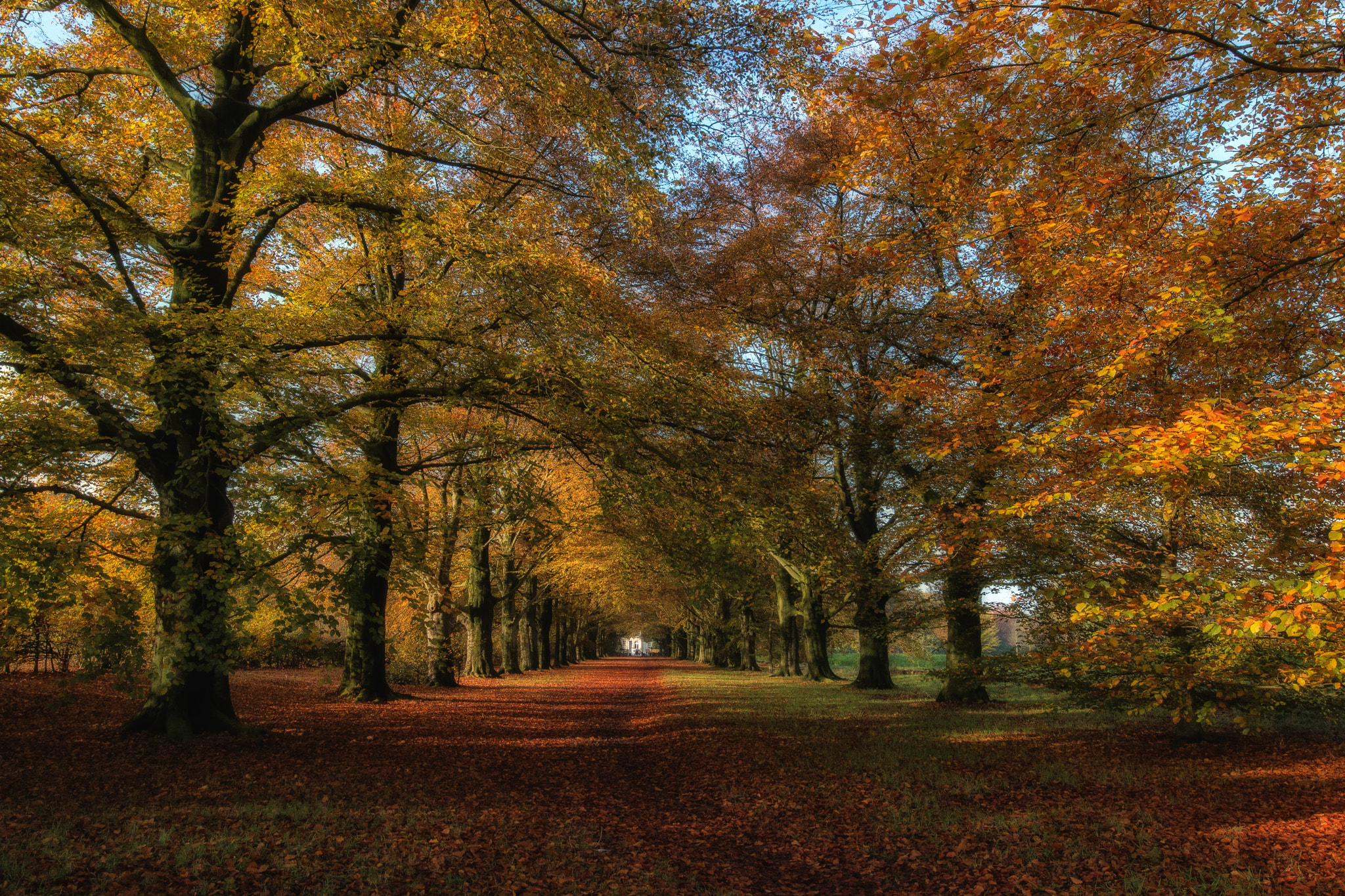 Canon EF 16-35mm F4L IS USM sample photo. Painted autumn colors photography