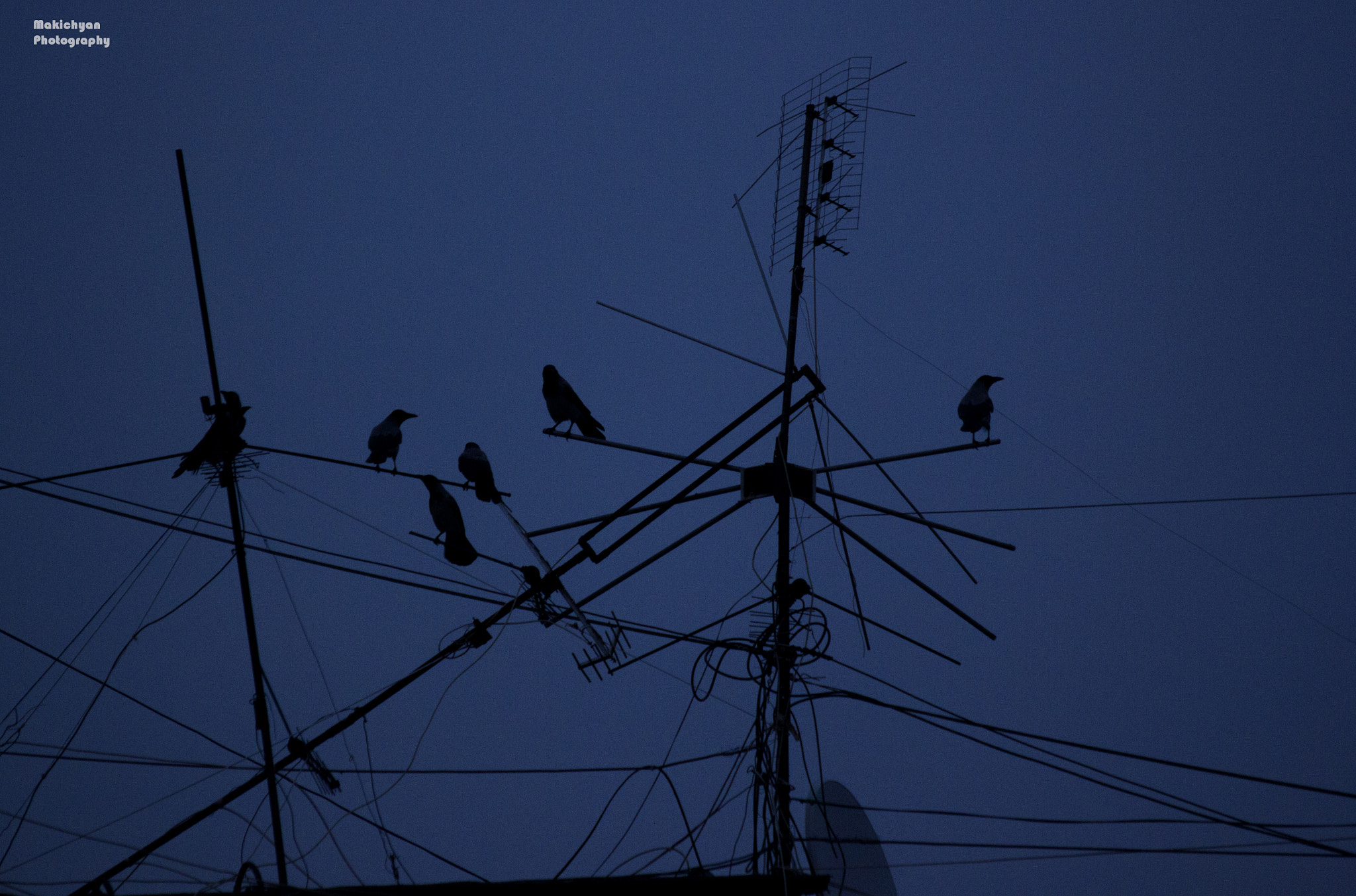 Sigma 50-200mm F4-5.6 DC OS HSM sample photo. Silent shadows .... photography