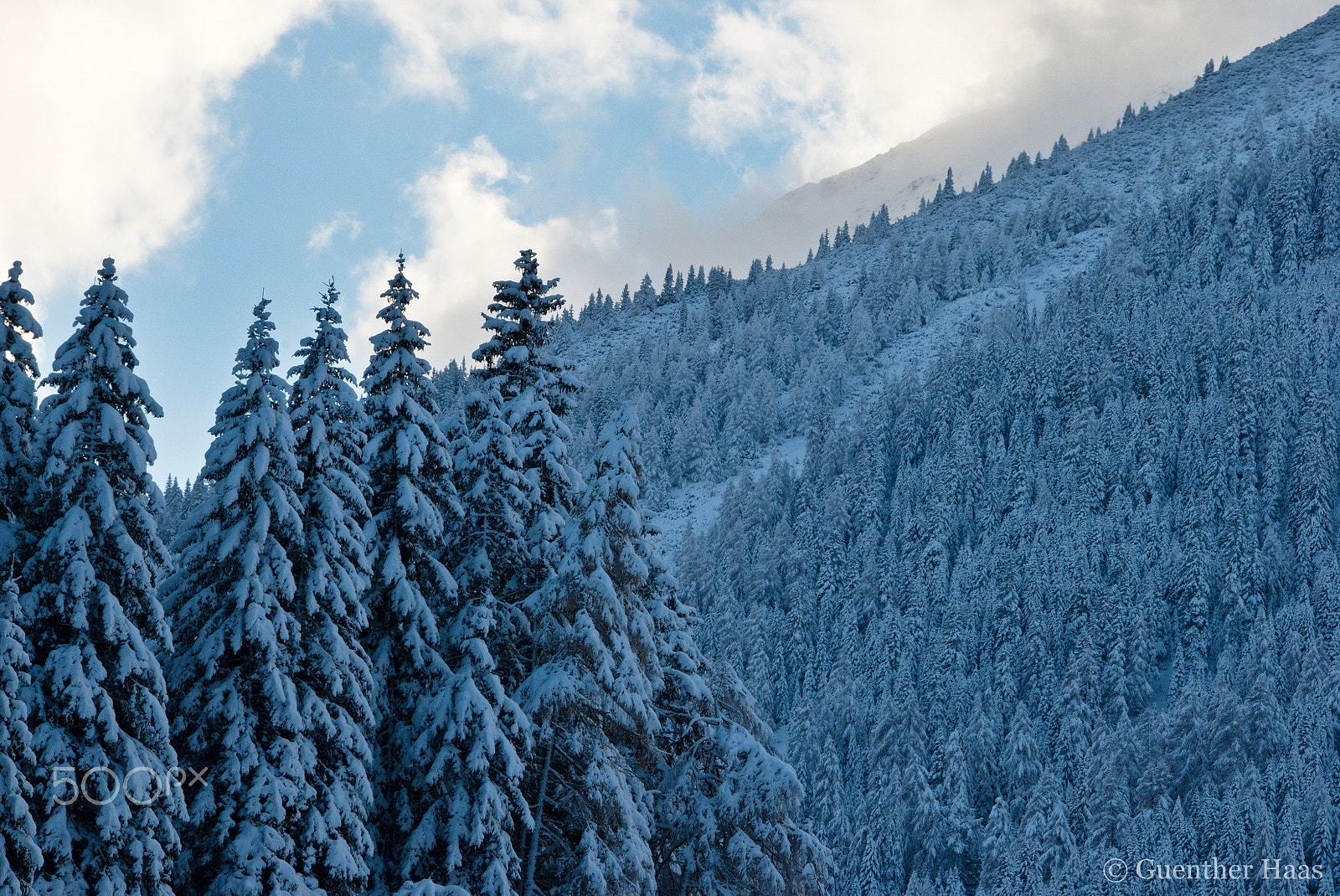 18.00 - 200.00 mm f/3.5 - 5.6 sample photo. Mountain forest photography