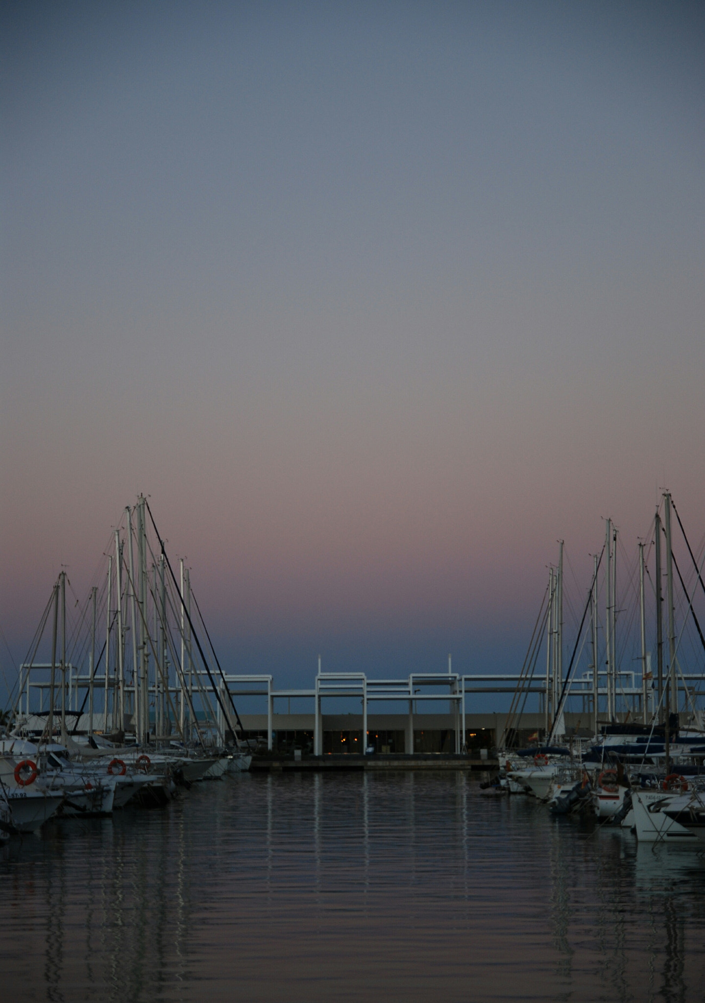 Nikon D80 sample photo