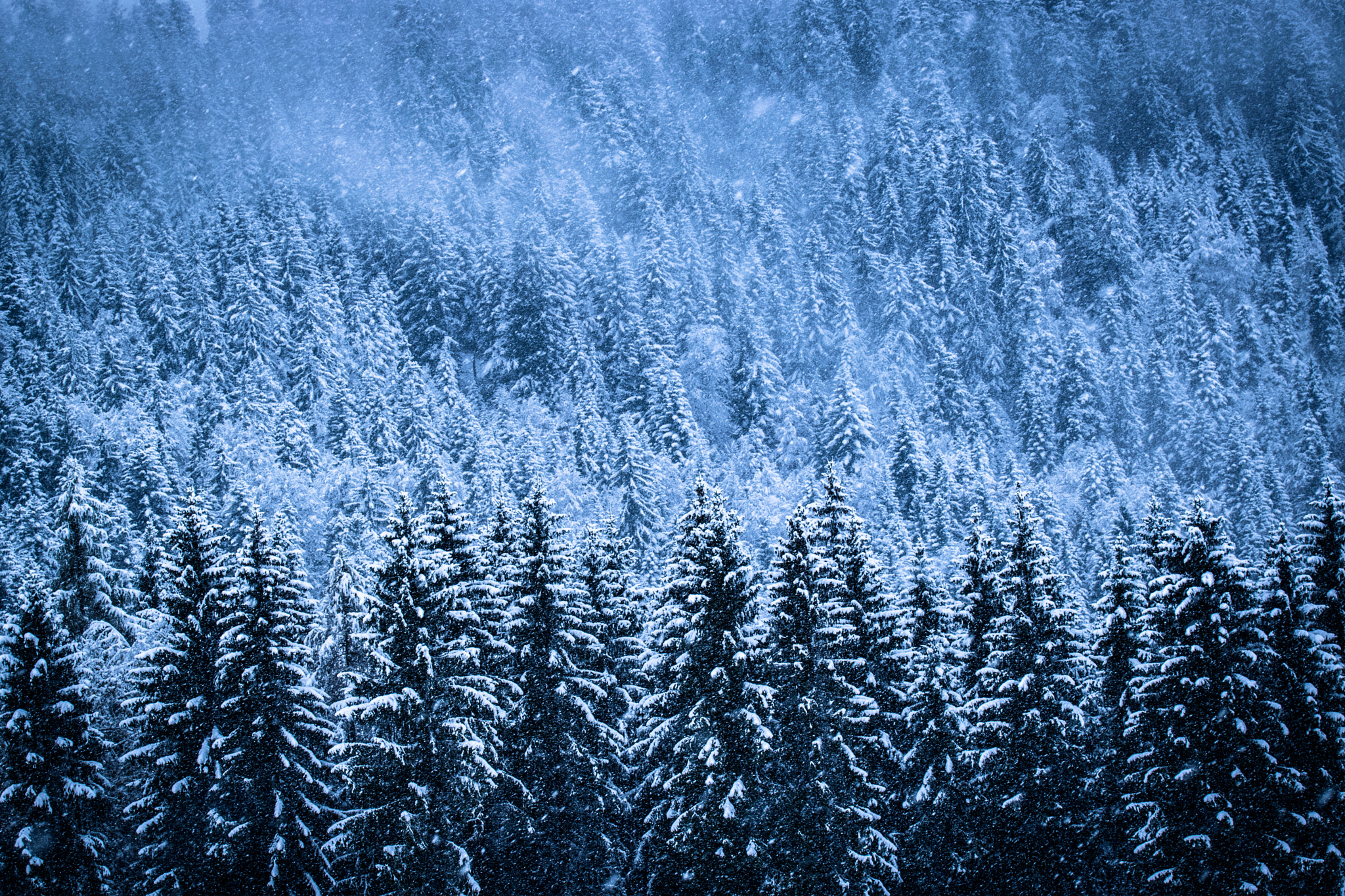 Nikon AF-S Nikkor 70-200mm F2.8G ED VR II sample photo. Snowstorm photography
