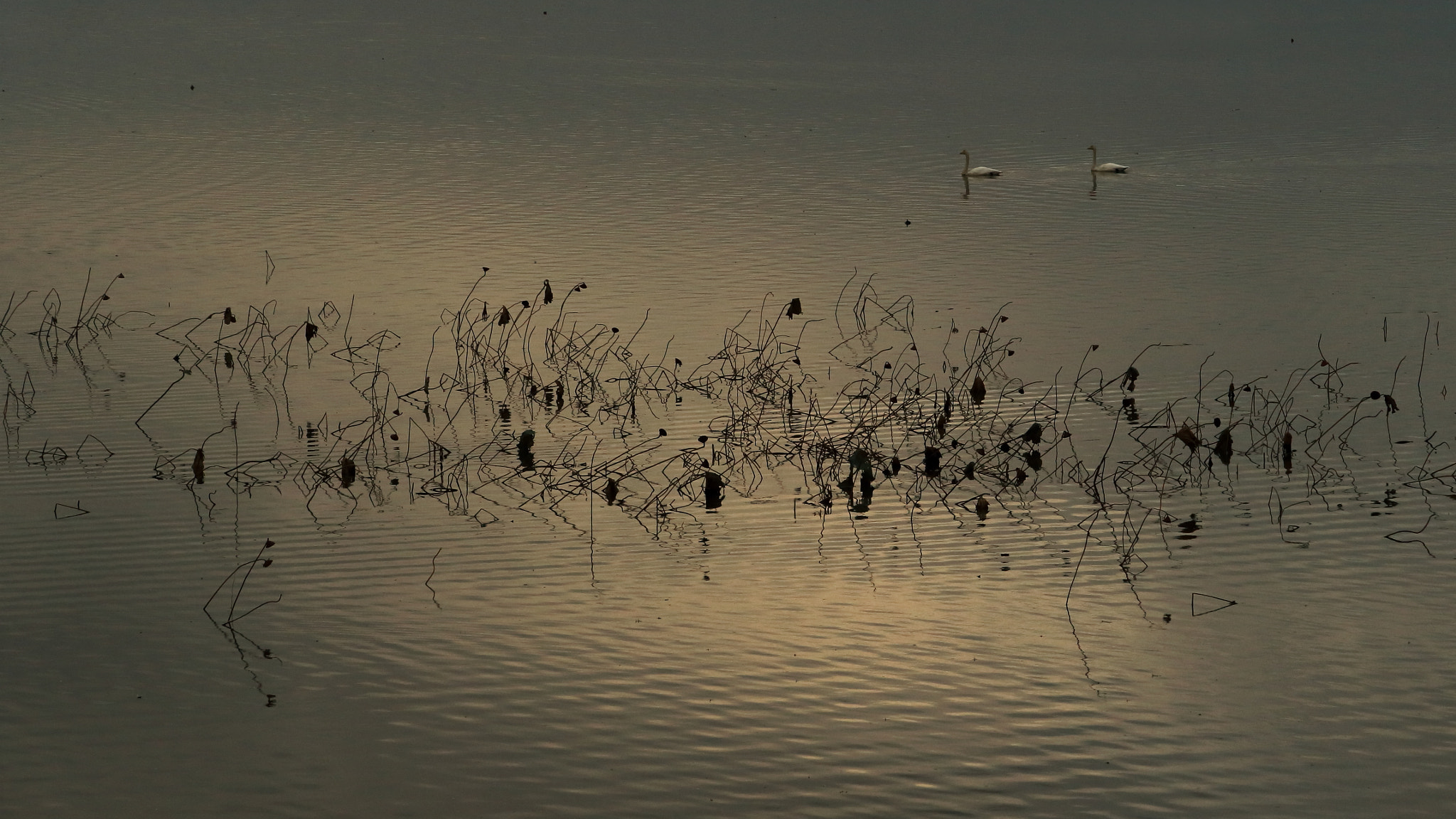 Canon EF 70-200mm F2.8L USM sample photo. Geometric pattern in the morning photography