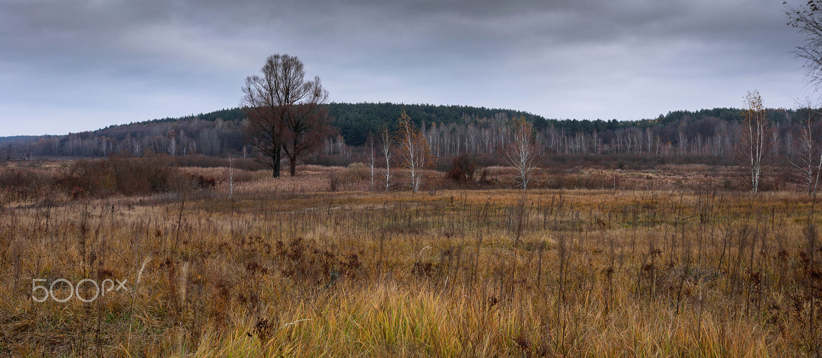 Canon EF 40mm F2.8 STM sample photo. Пагорбники photography