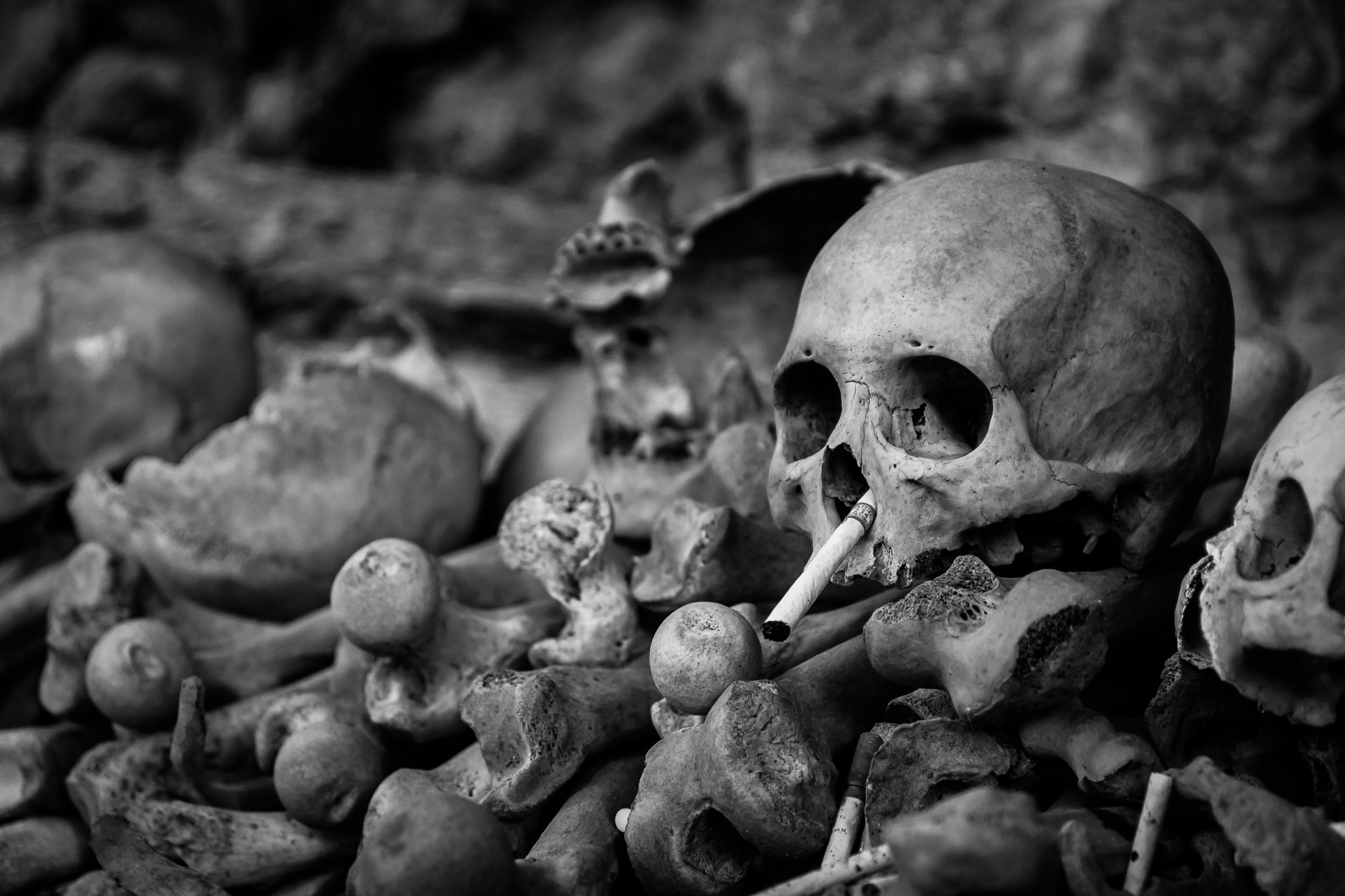 Canon EOS 1000D (EOS Digital Rebel XS / EOS Kiss F) sample photo. Grave, land of toraja photography