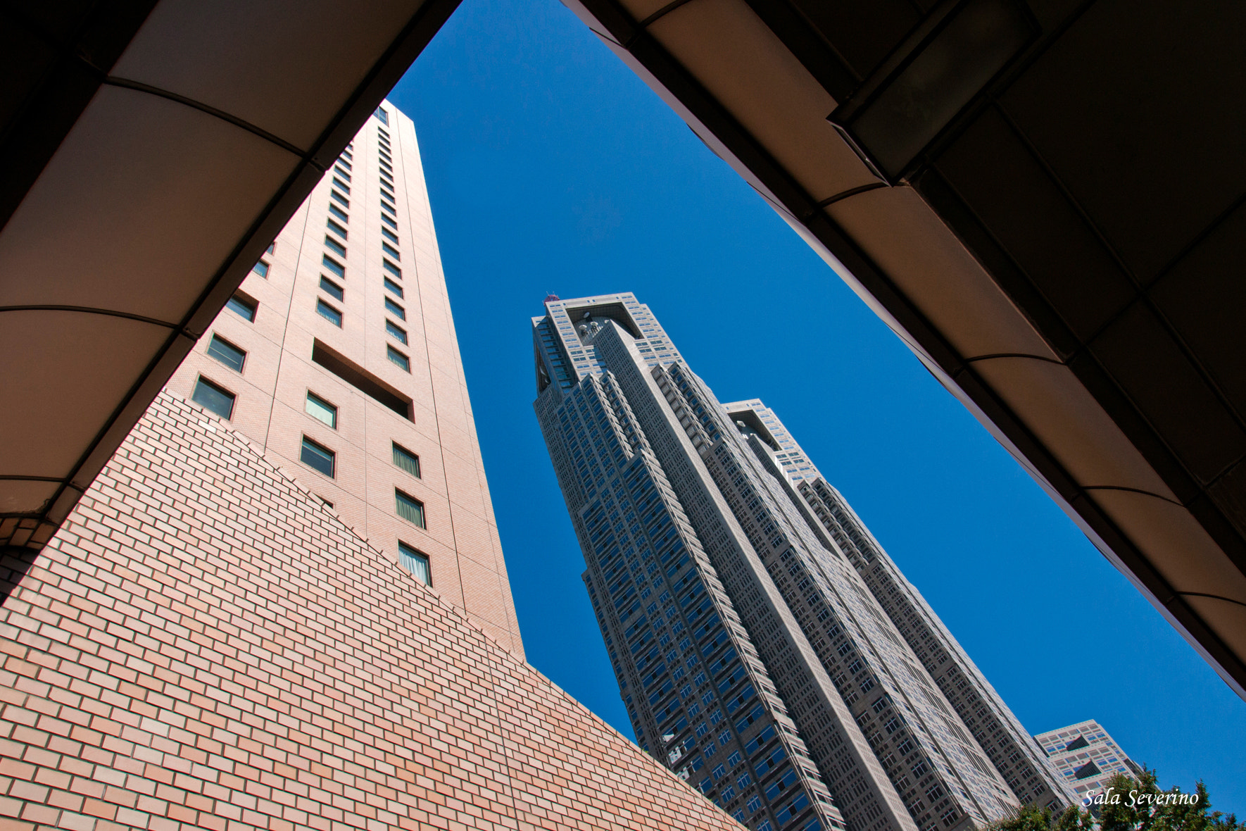 Sony DT 16-105mm F3.5-5.6 sample photo. Tokyo photography