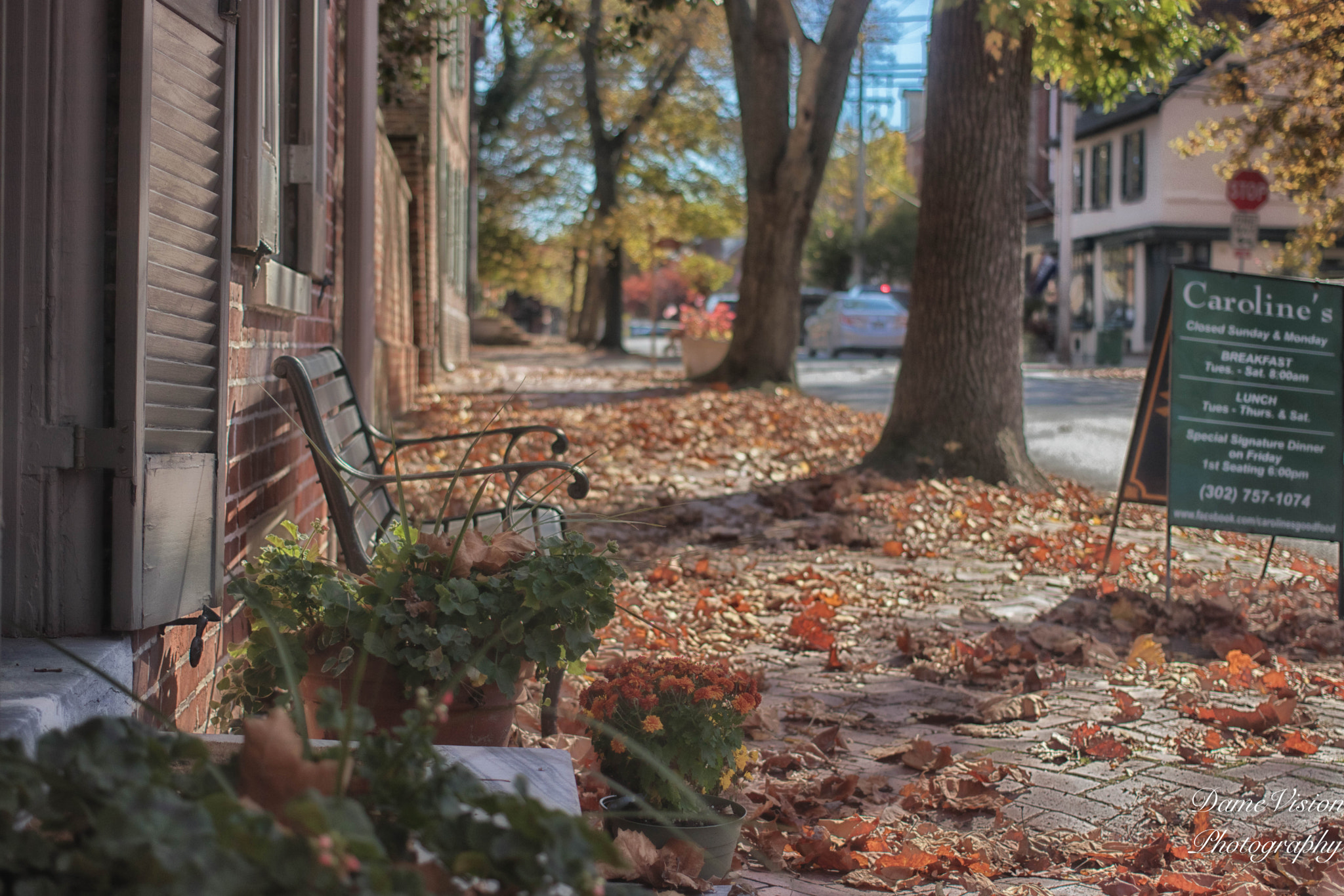 Canon EOS 80D + Canon EF 40mm F2.8 STM sample photo. Carolines on delaware street photography