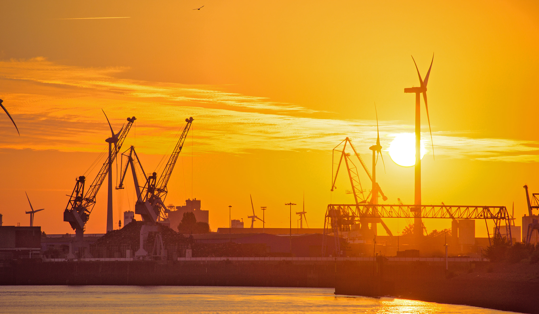 Sony Alpha DSLR-A580 sample photo. Sunrise at the harbor photography