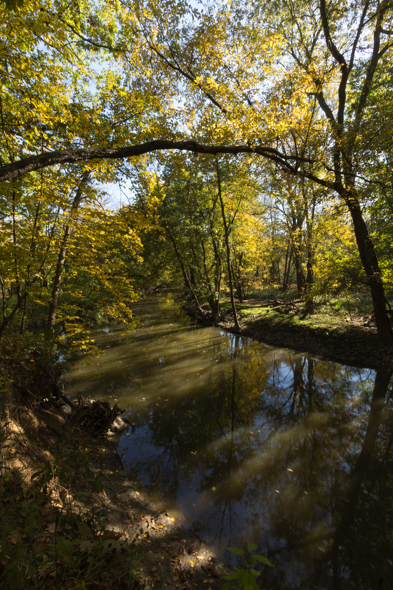 Canon EF-S 10-22mm F3.5-4.5 USM sample photo. Early fall photography