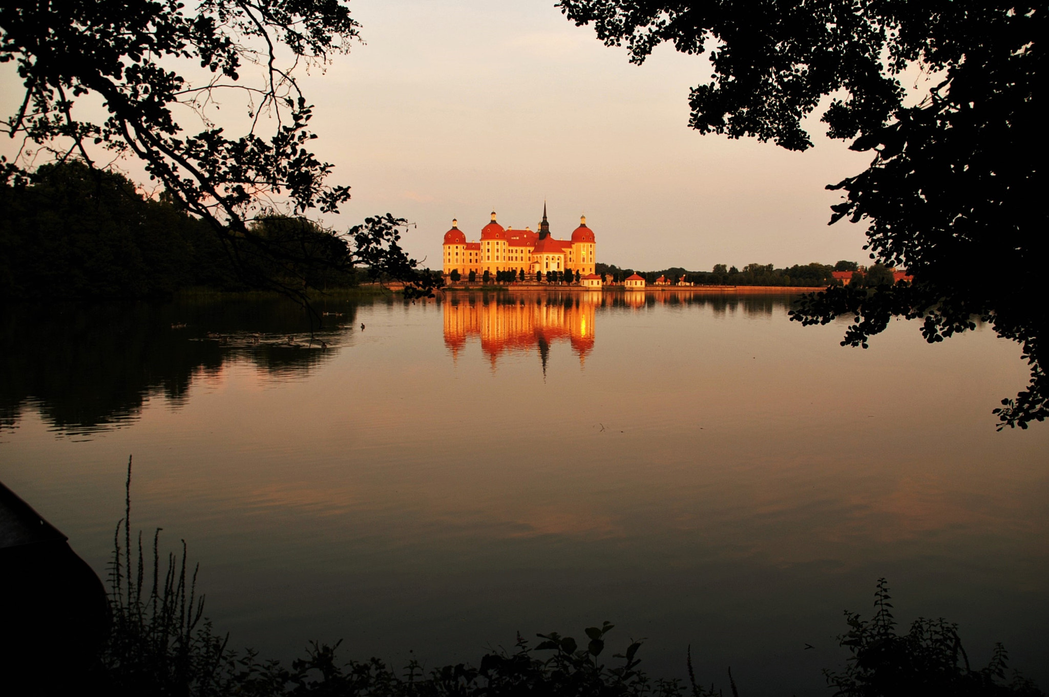 KONICA MINOLTA DYNAX 5D + Sigma 18-200mm F3.5-6.3 DC sample photo. Moritzburg castle photography