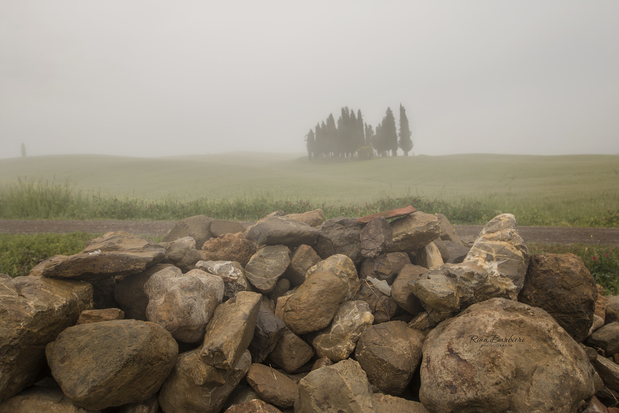 Sigma 8-16mm F4.5-5.6 DC HSM sample photo. Fog photography