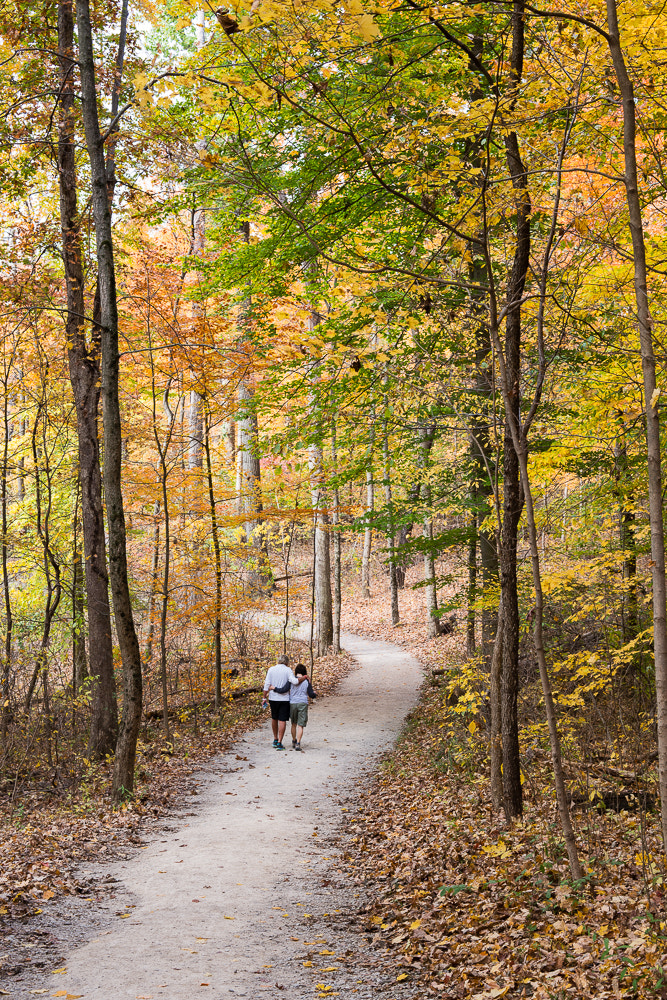 ZEISS Makro-Planar T* 50mm F2 sample photo. Highbanks autumn couple photography