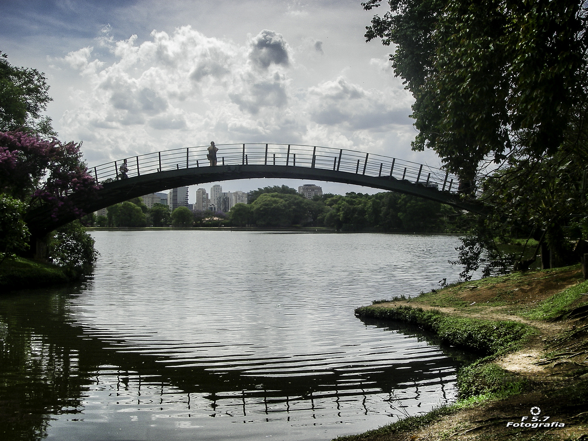 Pentax OPTIO W10 sample photo. Bridge over the lake photography
