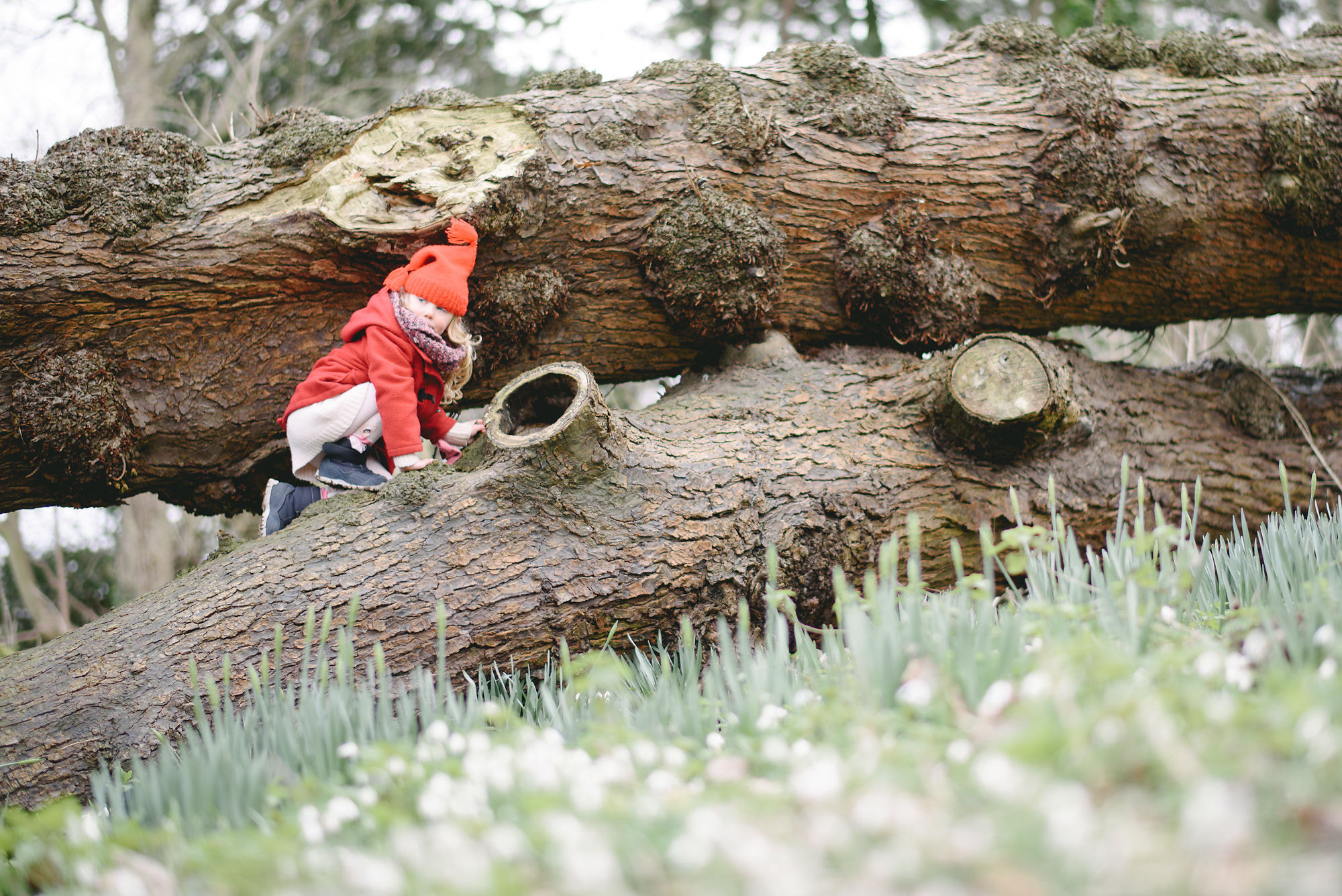 Nikon D750 sample photo. Walsingham abbey photography