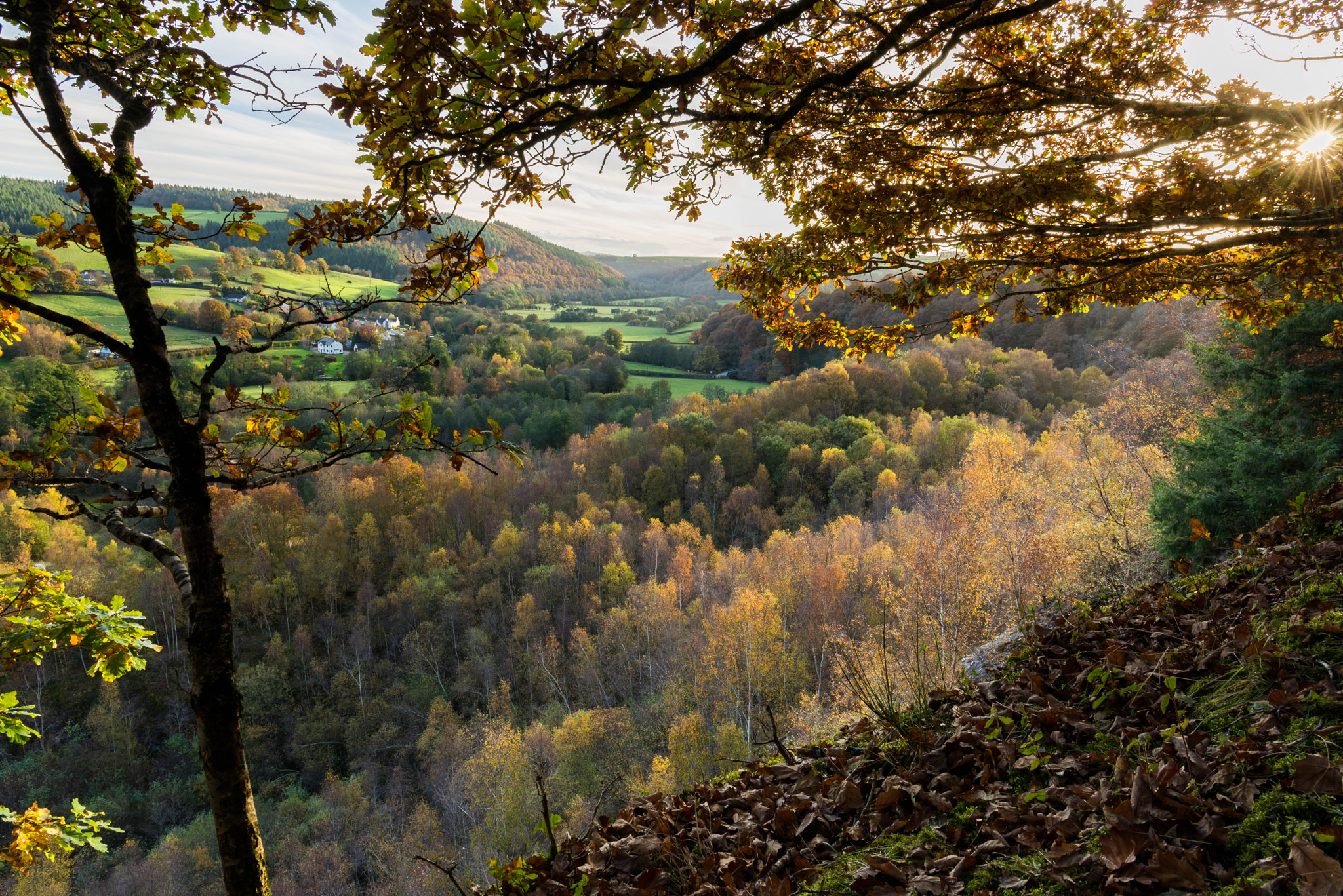 Nikon AF-S Nikkor 24-70mm F2.8E ED VR sample photo. Autumn colours of the exe valley photography