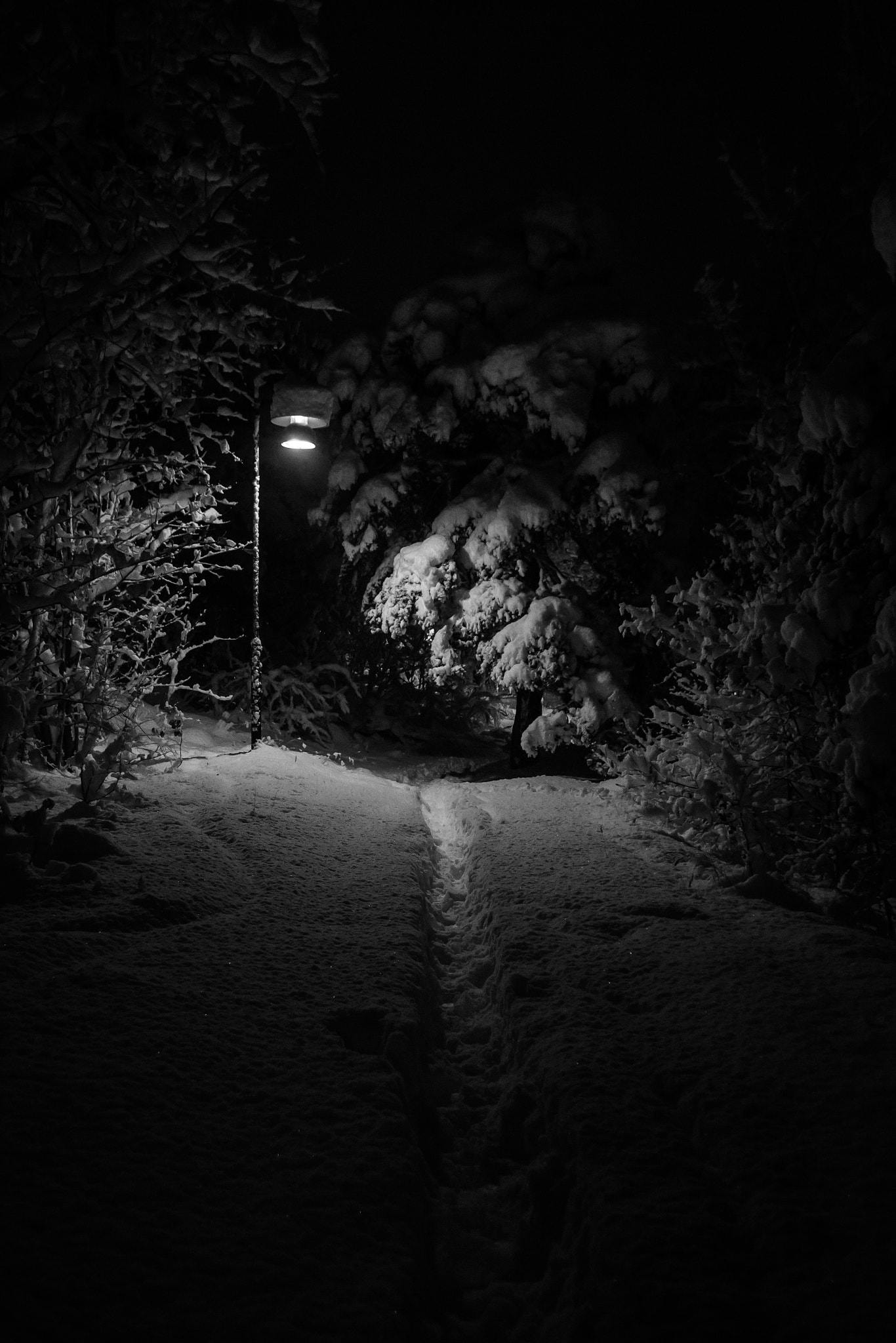 Canon EOS M3 sample photo. The path photography