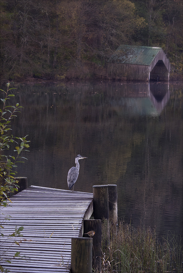 Pentax K-3 sample photo. Loch ard viewers photography