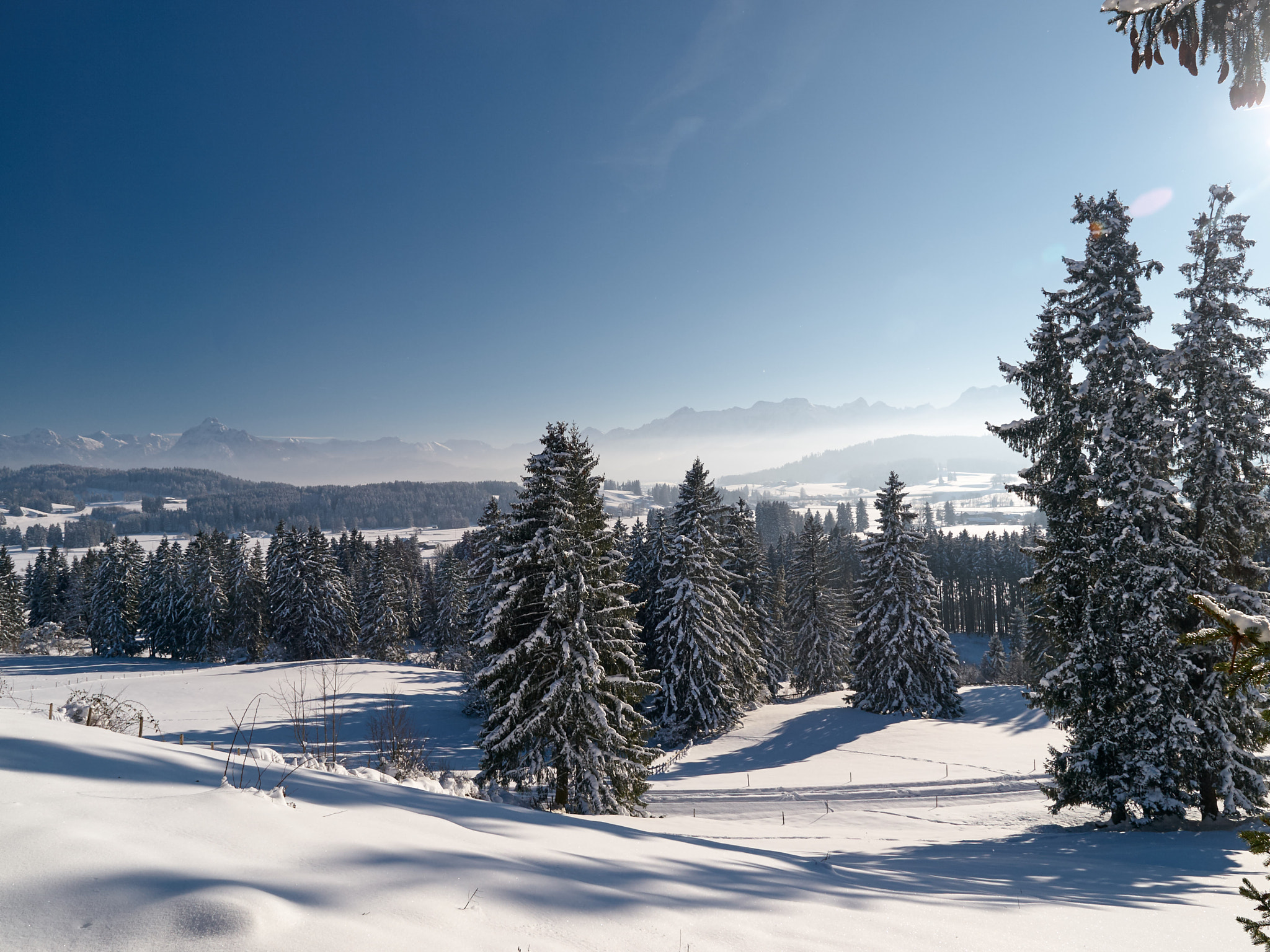 Olympus E-3 sample photo. Winter photography