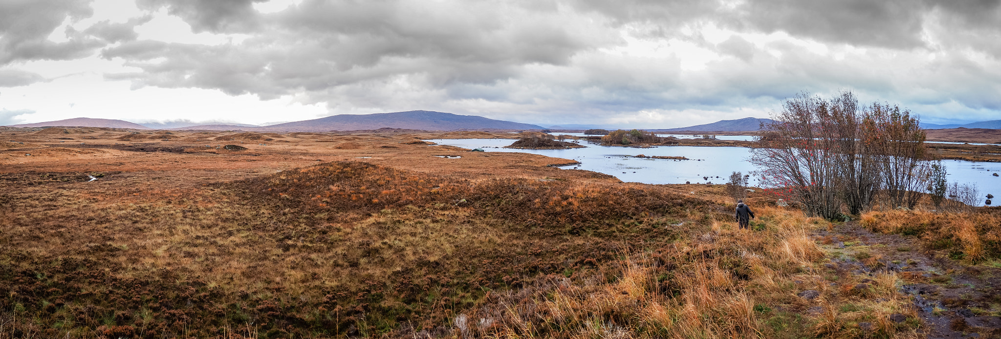 Olympus M.Zuiko Digital 14-42mm F3.5-5.6 II R sample photo. Rannoch moor, scotland photography