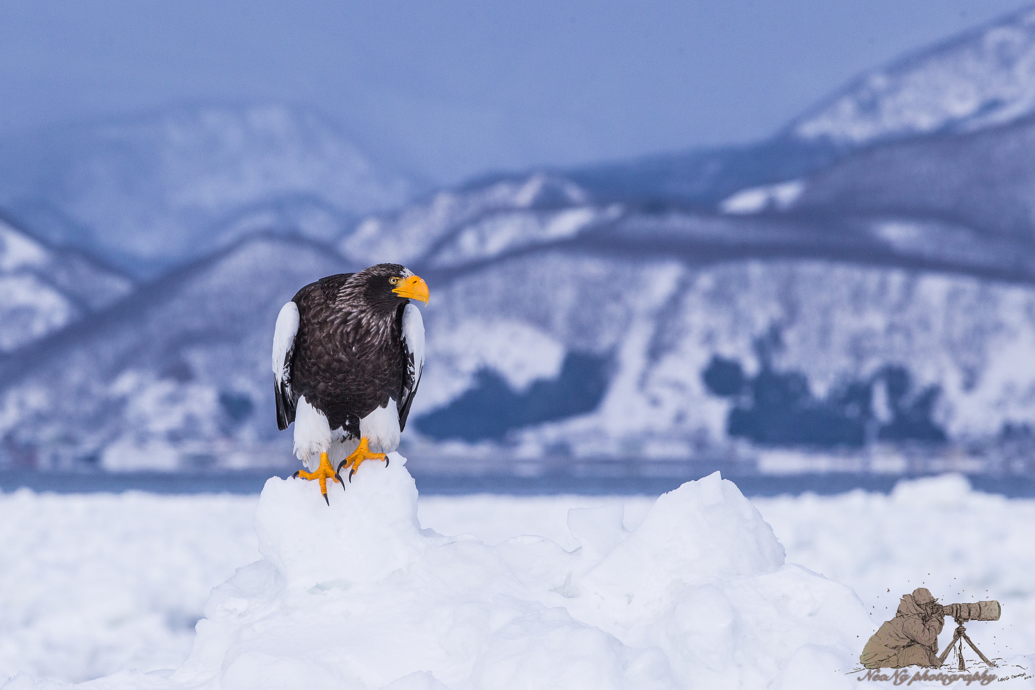 Canon EF 300mm F2.8L IS II USM sample photo. Neo photography