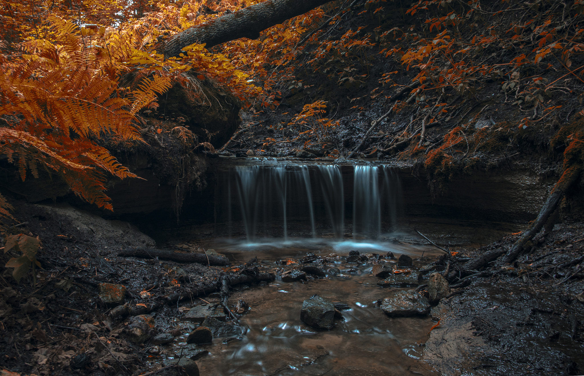 Pentax smc DA 18-55mm F3.5-5.6 ED AL II (IF) sample photo. Looks like autumn photography