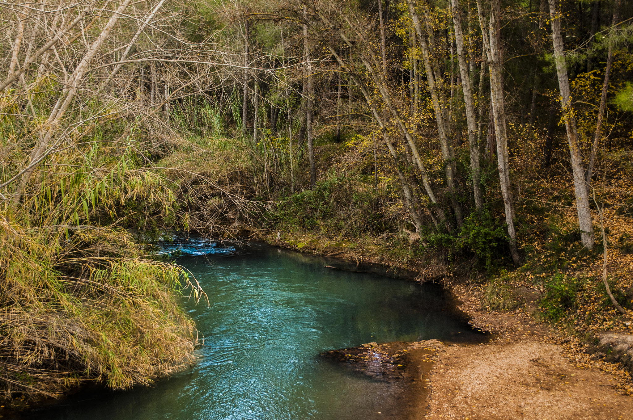 Nikon D300 sample photo. River photography