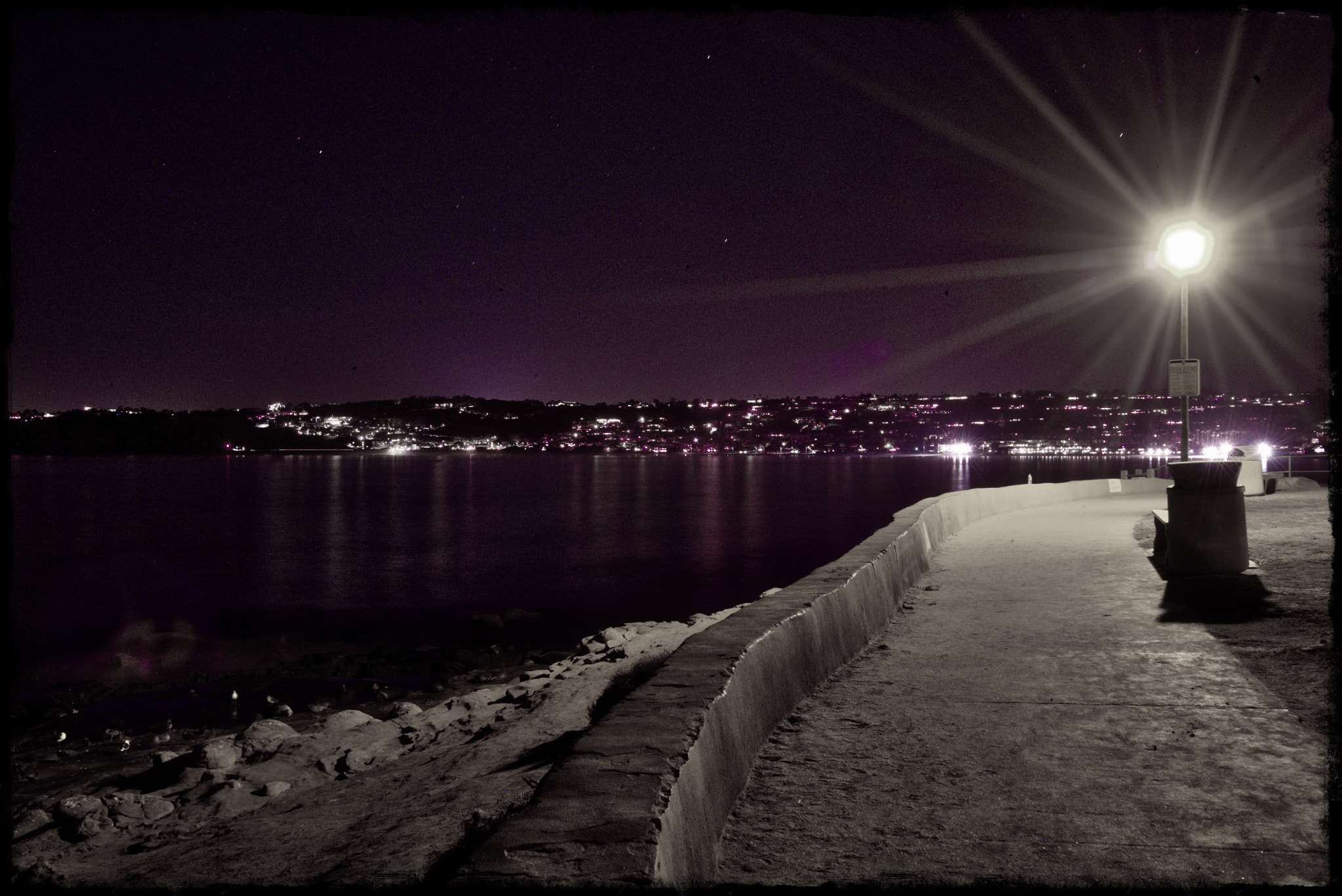 Sony a7S + Sony Vario-Tessar T* FE 16-35mm F4 ZA OSS sample photo. La jolla path purple photography