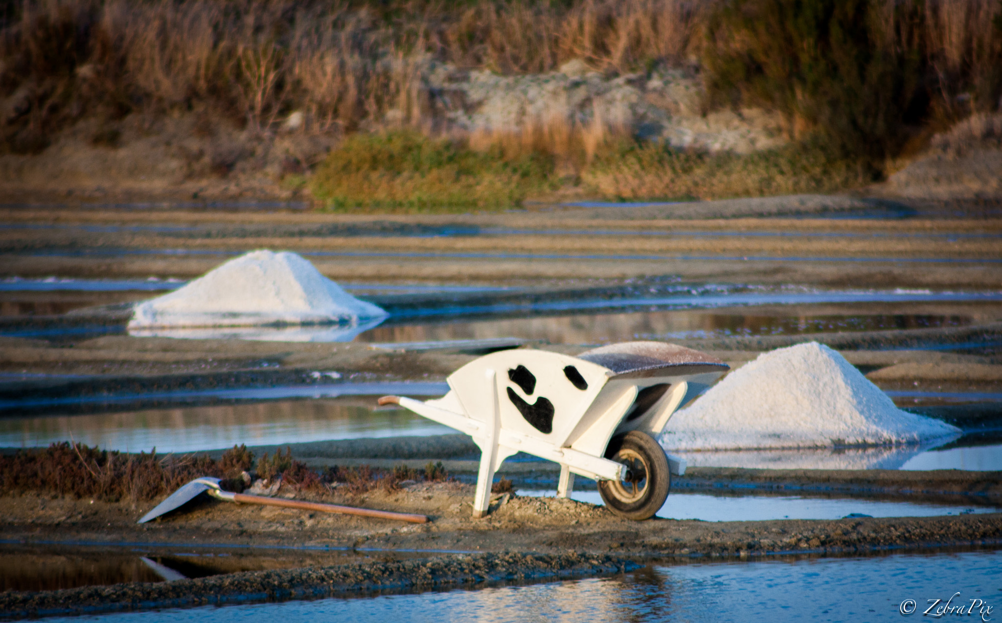 Canon EF 75-300mm f/4-5.6 USM sample photo