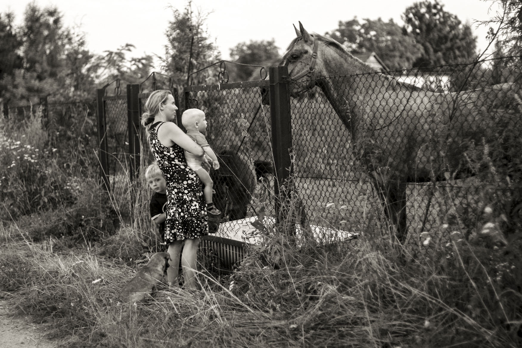 Canon EOS 30D + Canon EF 50mm f/1.8 sample photo. Summertime photography