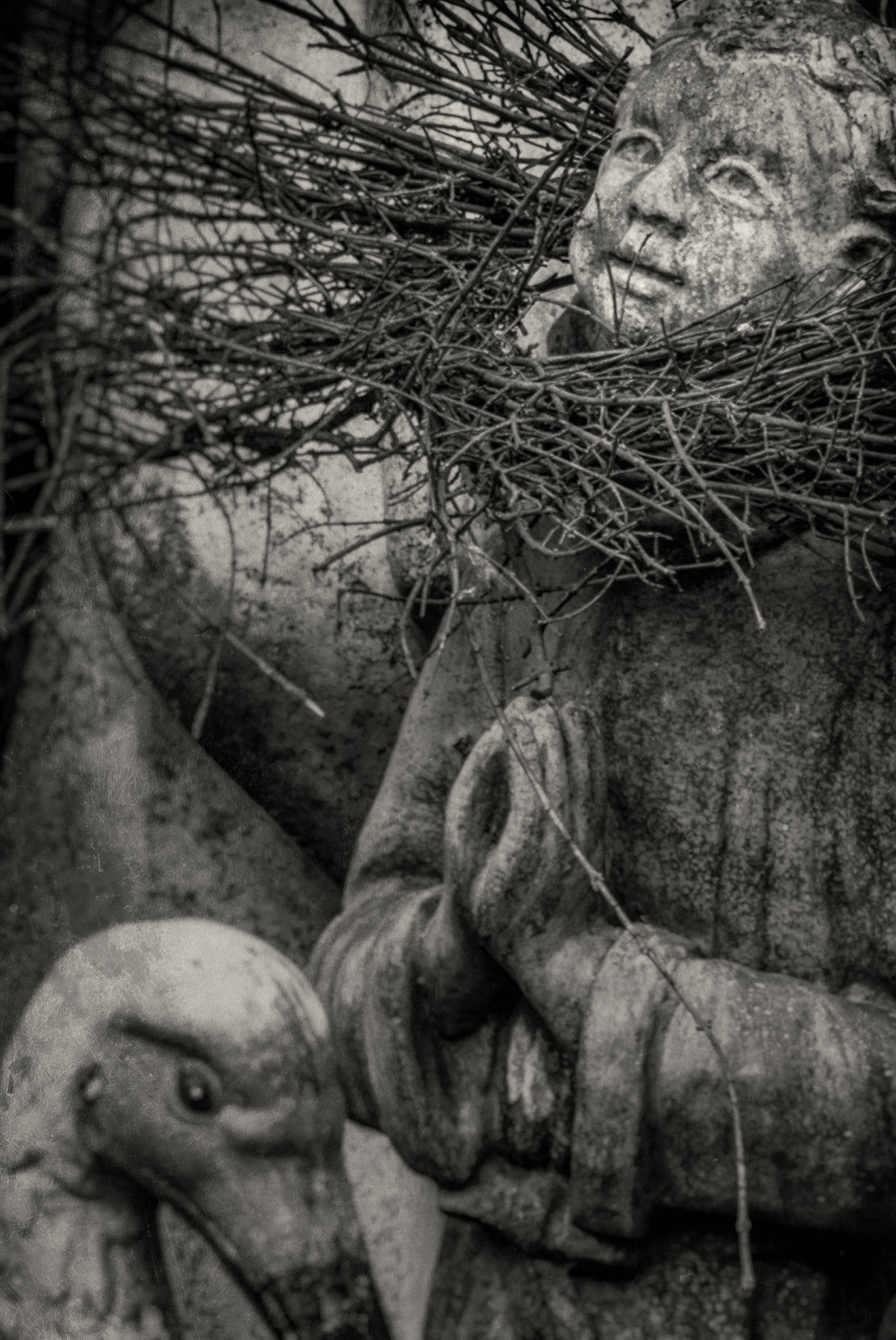 Nikon D40X sample photo. Stork & boy photography