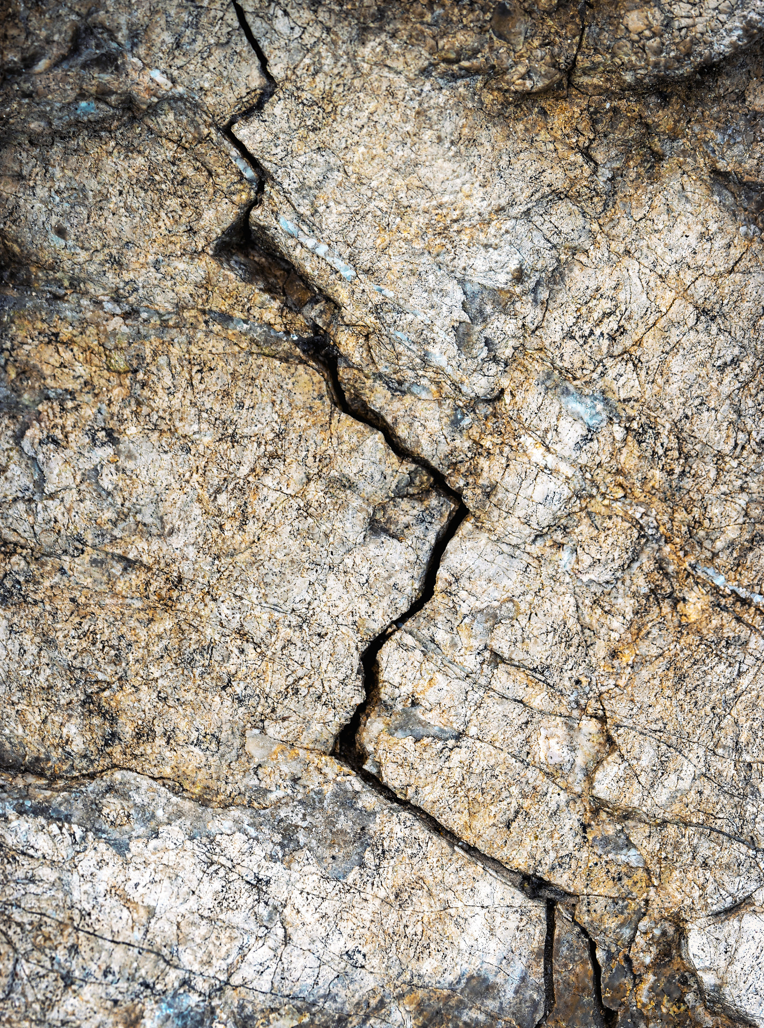 Nikon D5500 sample photo. Fissure in the limestone photography