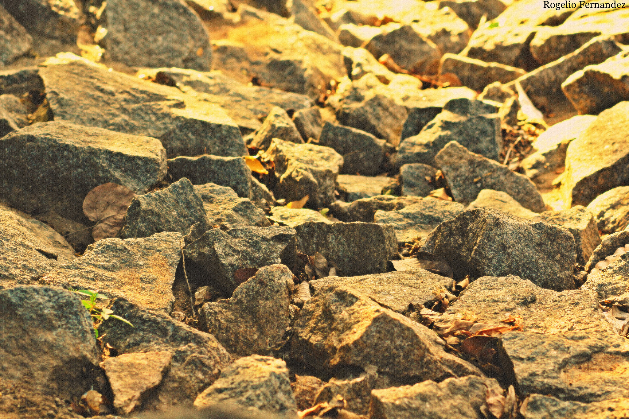 Canon EF 85mm F1.8 USM sample photo. Rocks photography