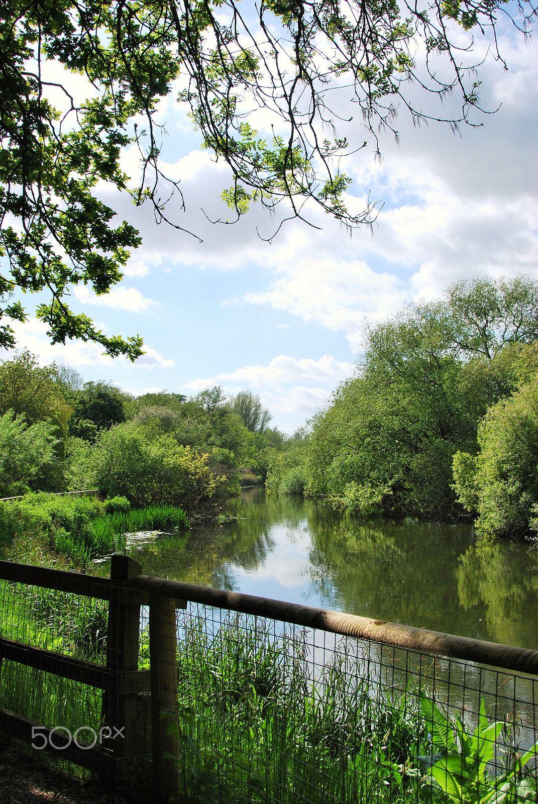 Nikon D60 sample photo. Stour valley, dorset photography