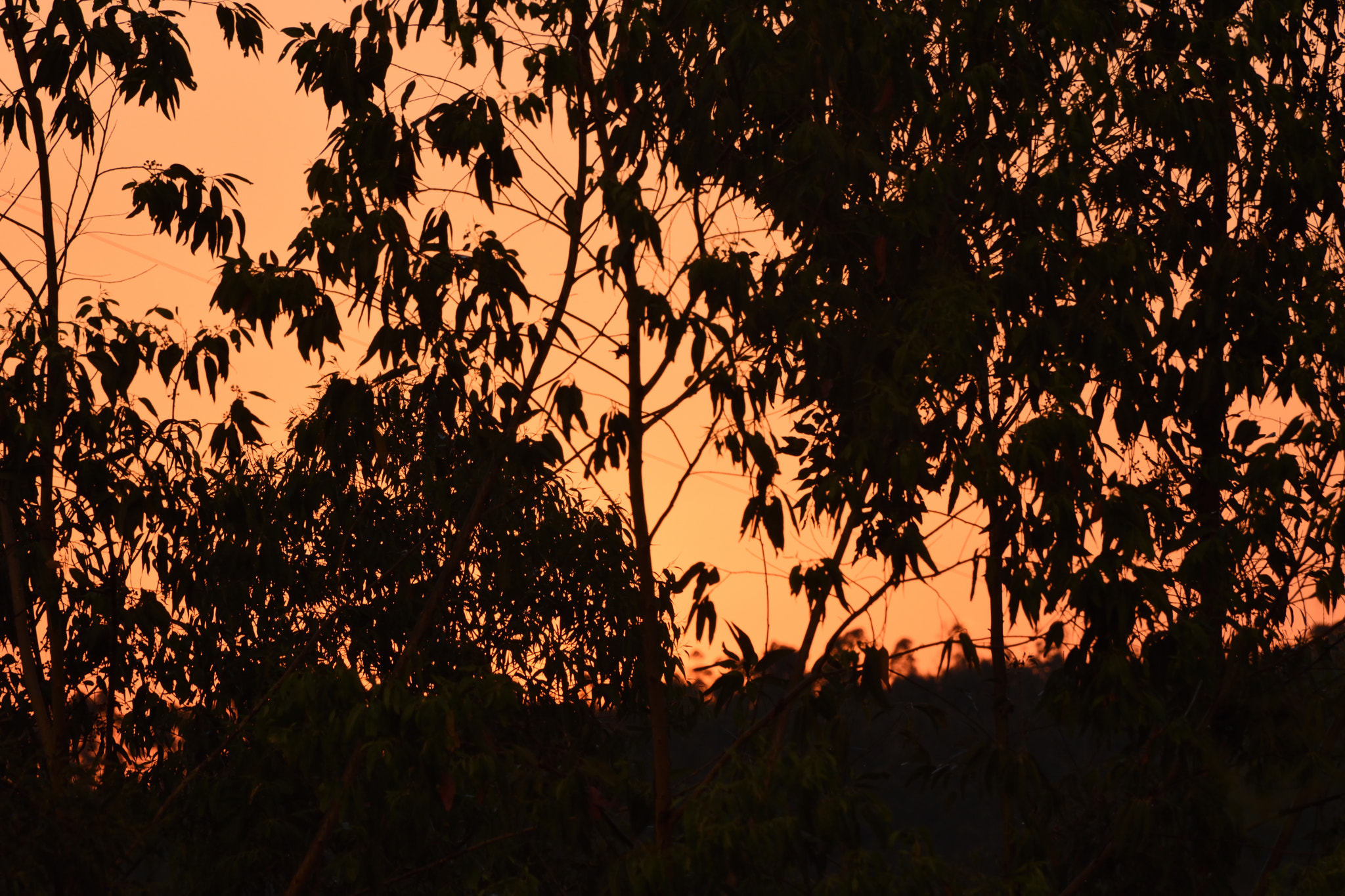 Nikon D5500 sample photo. Sky just after the sunset. photography