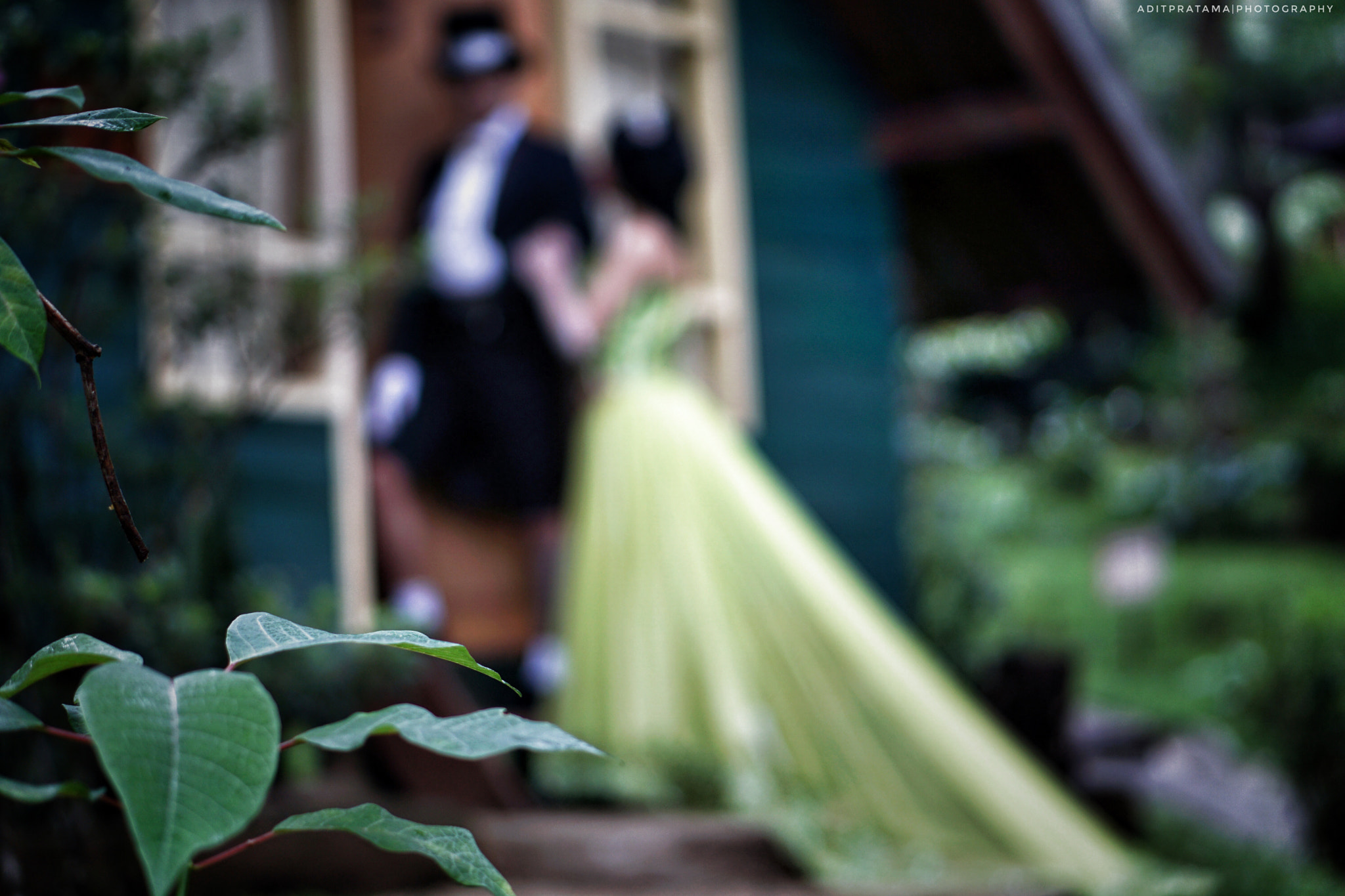 Sony E 50mm F1.8 OSS sample photo. Behind nature photography