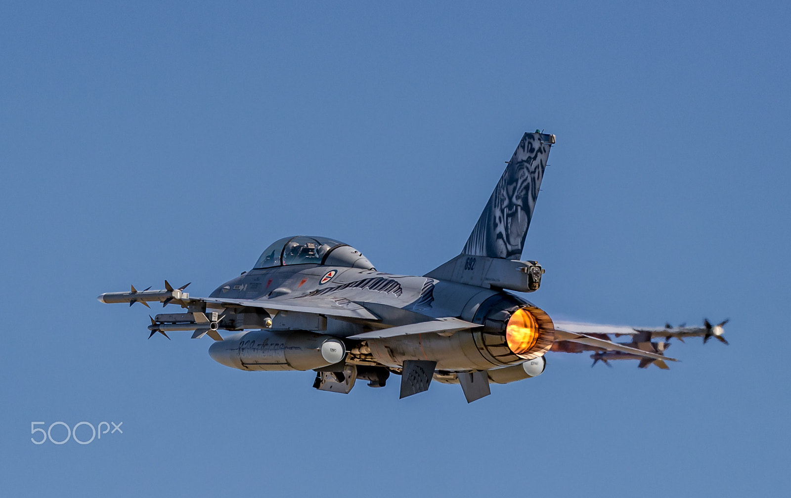 Sigma 150-600mm F5-6.3 DG OS HSM | C sample photo. F-16b ntm2016 photography