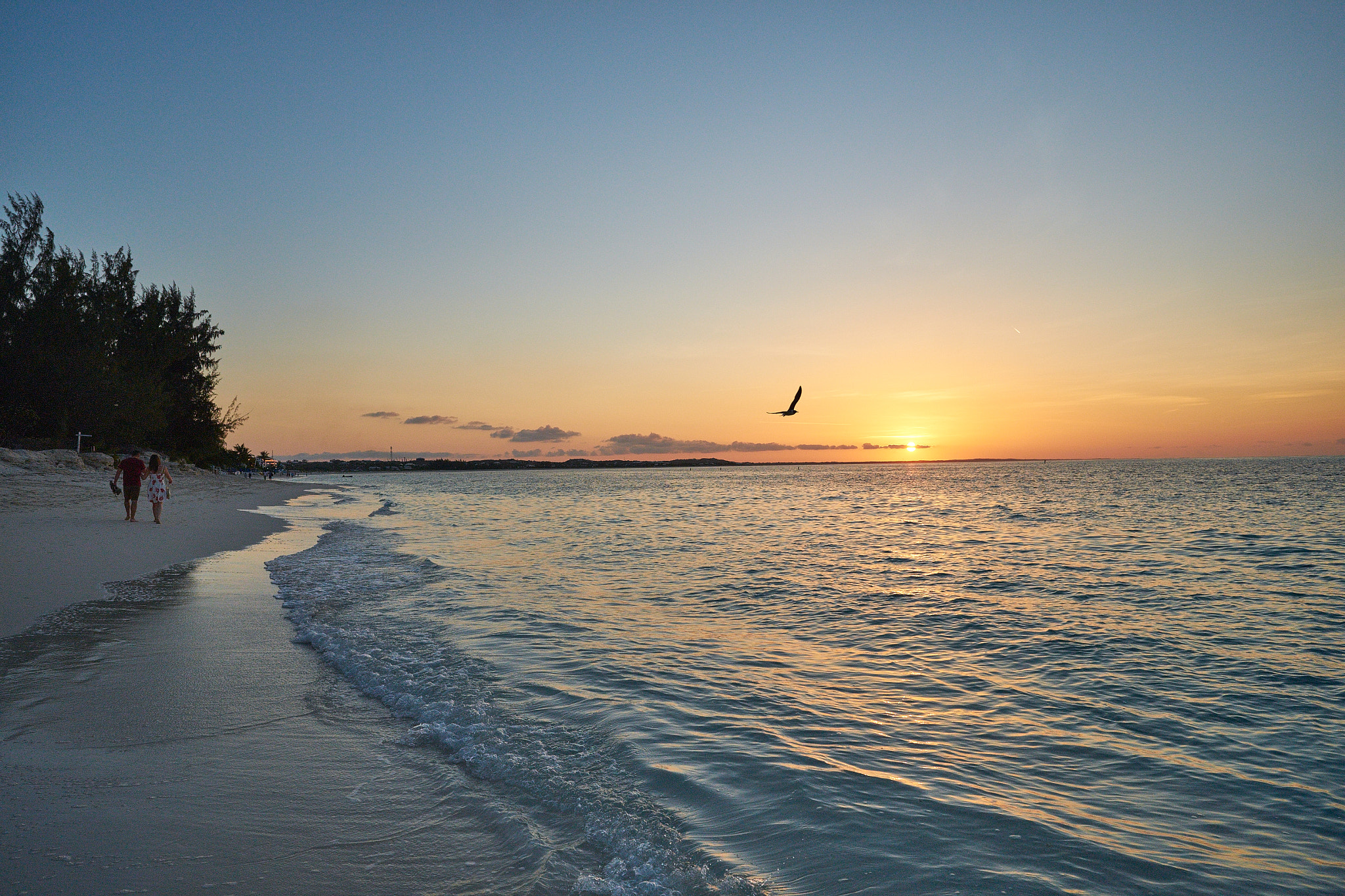 Fujifilm X-Pro1 + Fujifilm XF 14mm F2.8 R sample photo. ... photography