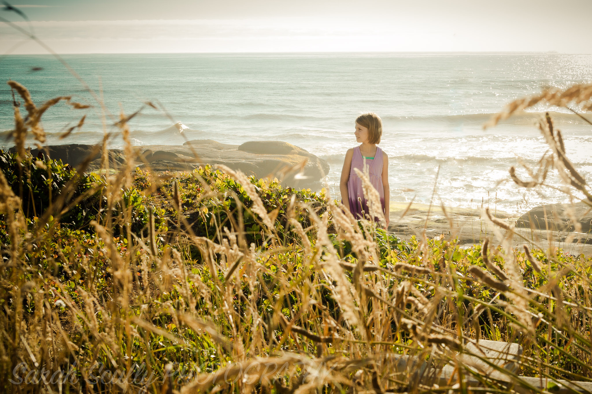 EF28-70mm f/2.8L USM sample photo. The beautiful light of a summer sunset on the oregon coast! photography
