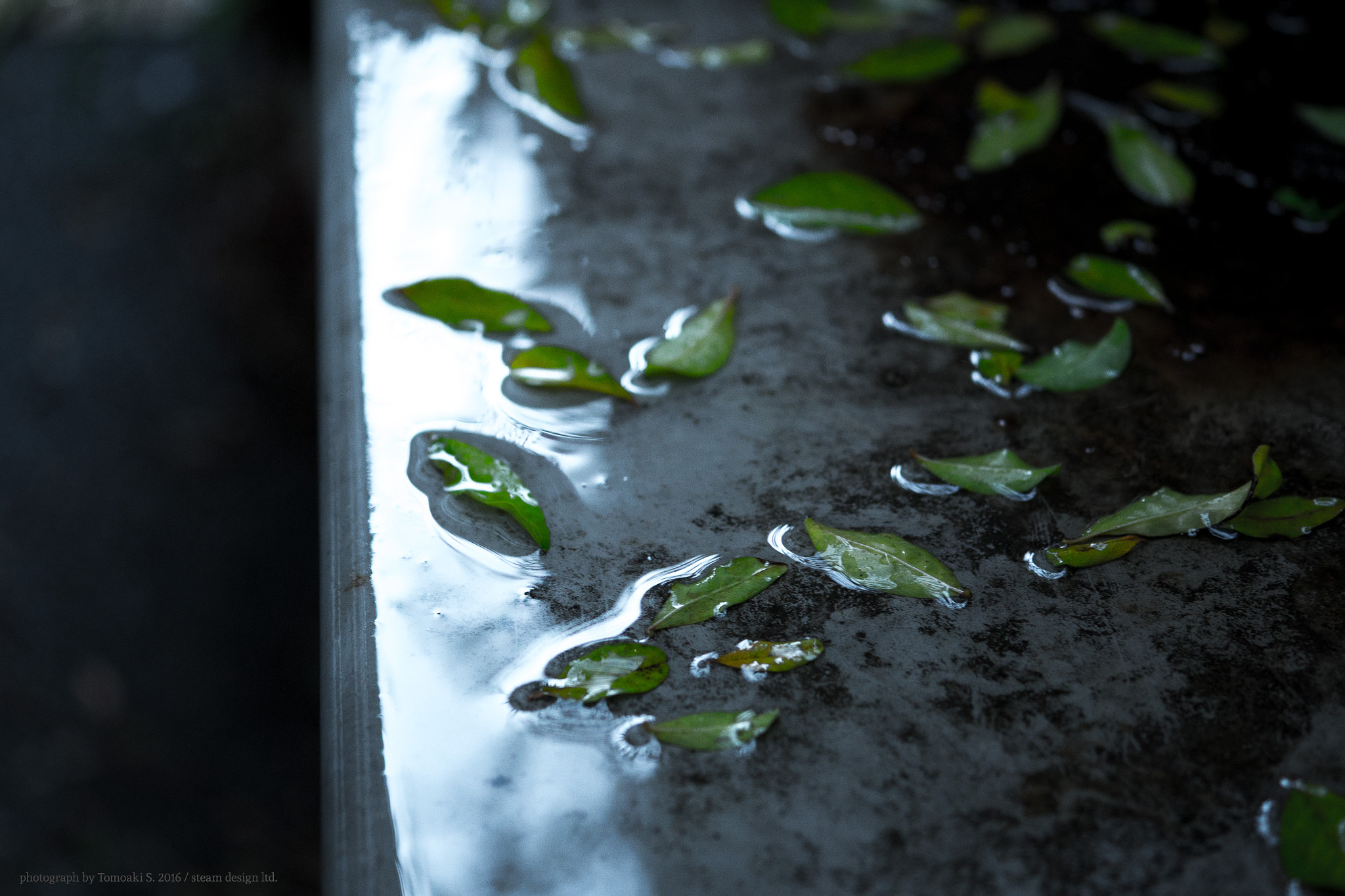 Panasonic DMC-G8 sample photo. Rainyday photography