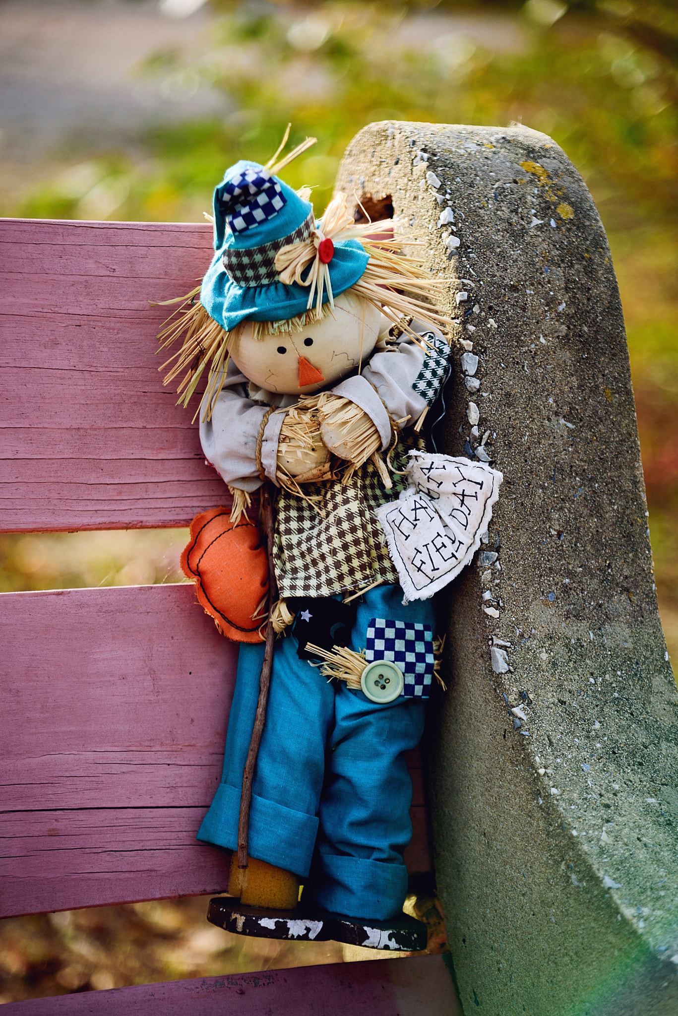 AF Zoom-Nikkor 35-135mm f/3.5-4.5 N sample photo. Lonely scarecrow photography