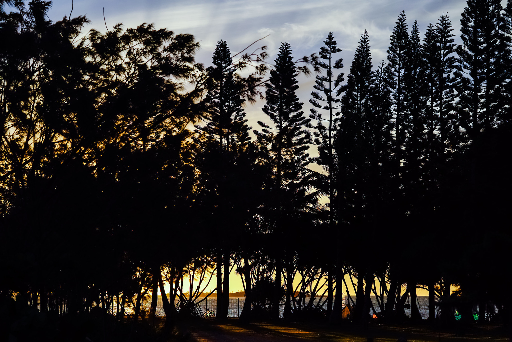 Sony FE 85mm F1.4 GM sample photo. Grove at sunset, kitesurf atmosphere photography