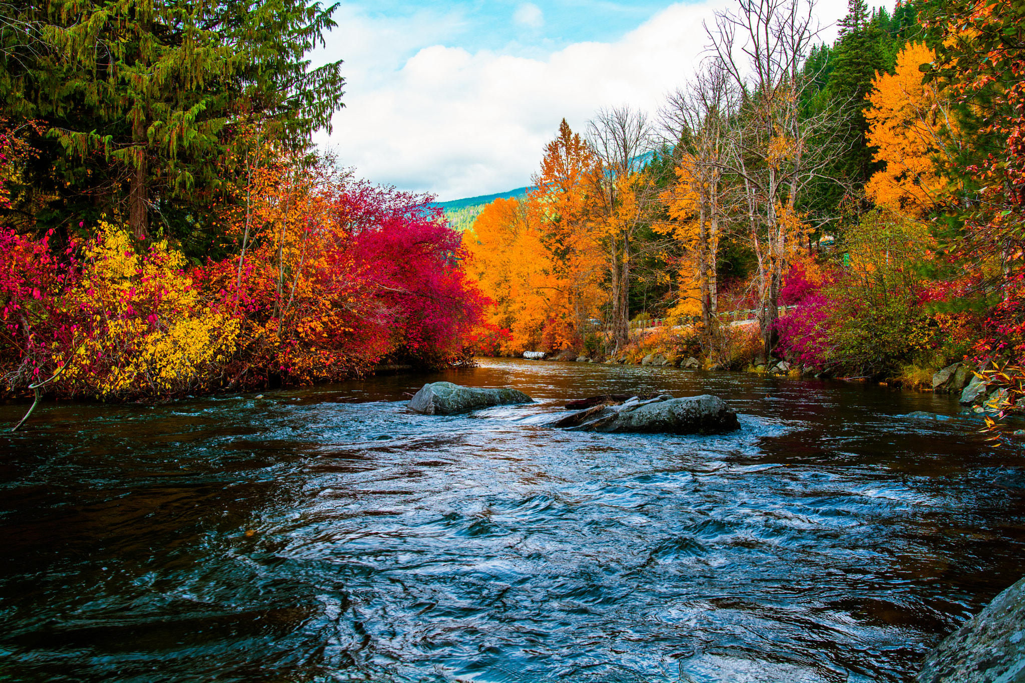 Samyang 16mm F2 ED AS UMC CS sample photo. Fall isn't that bad. photography