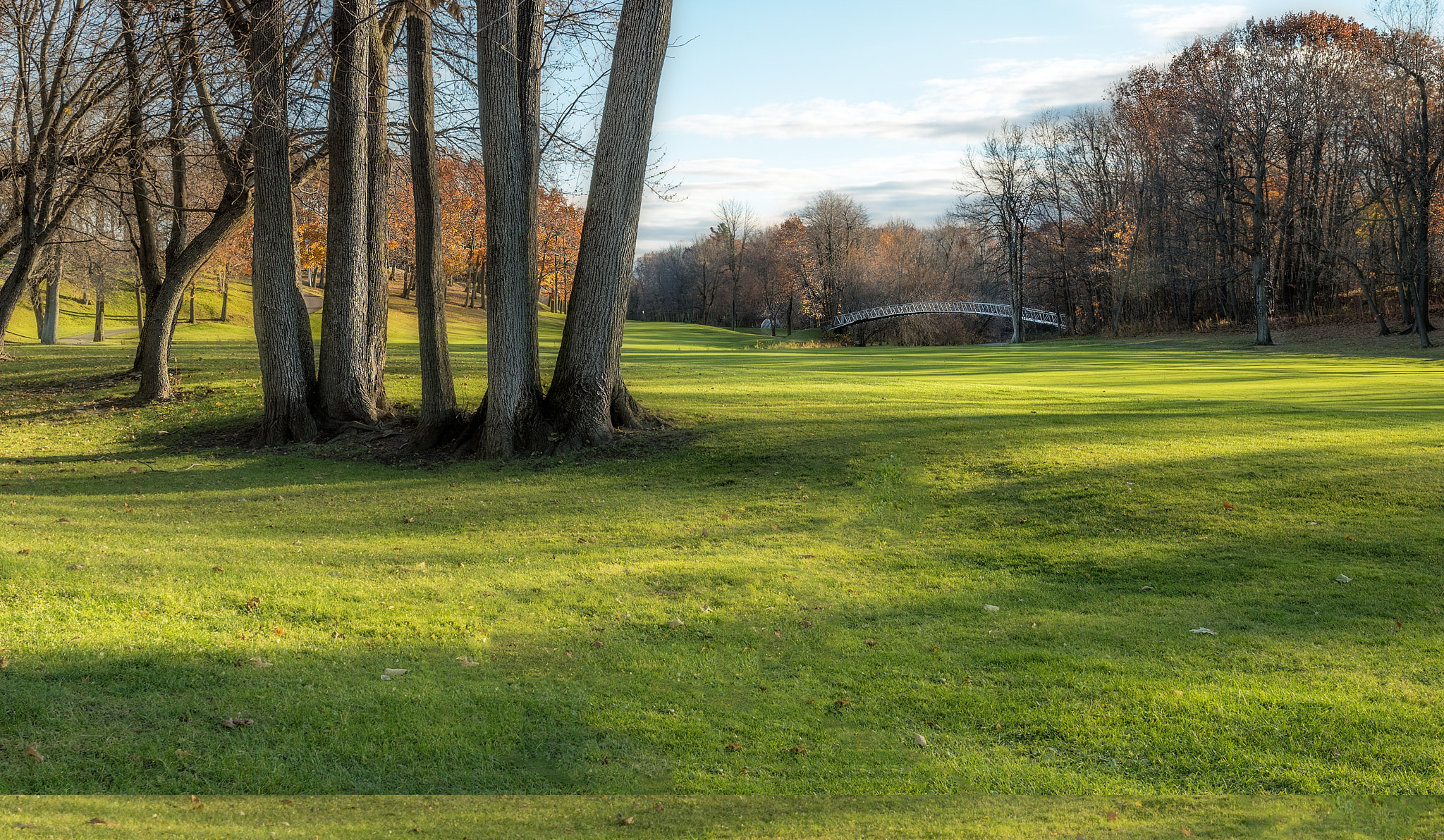 Nikon AF-S Nikkor 14-24mm F2.8G ED sample photo. Golf photography