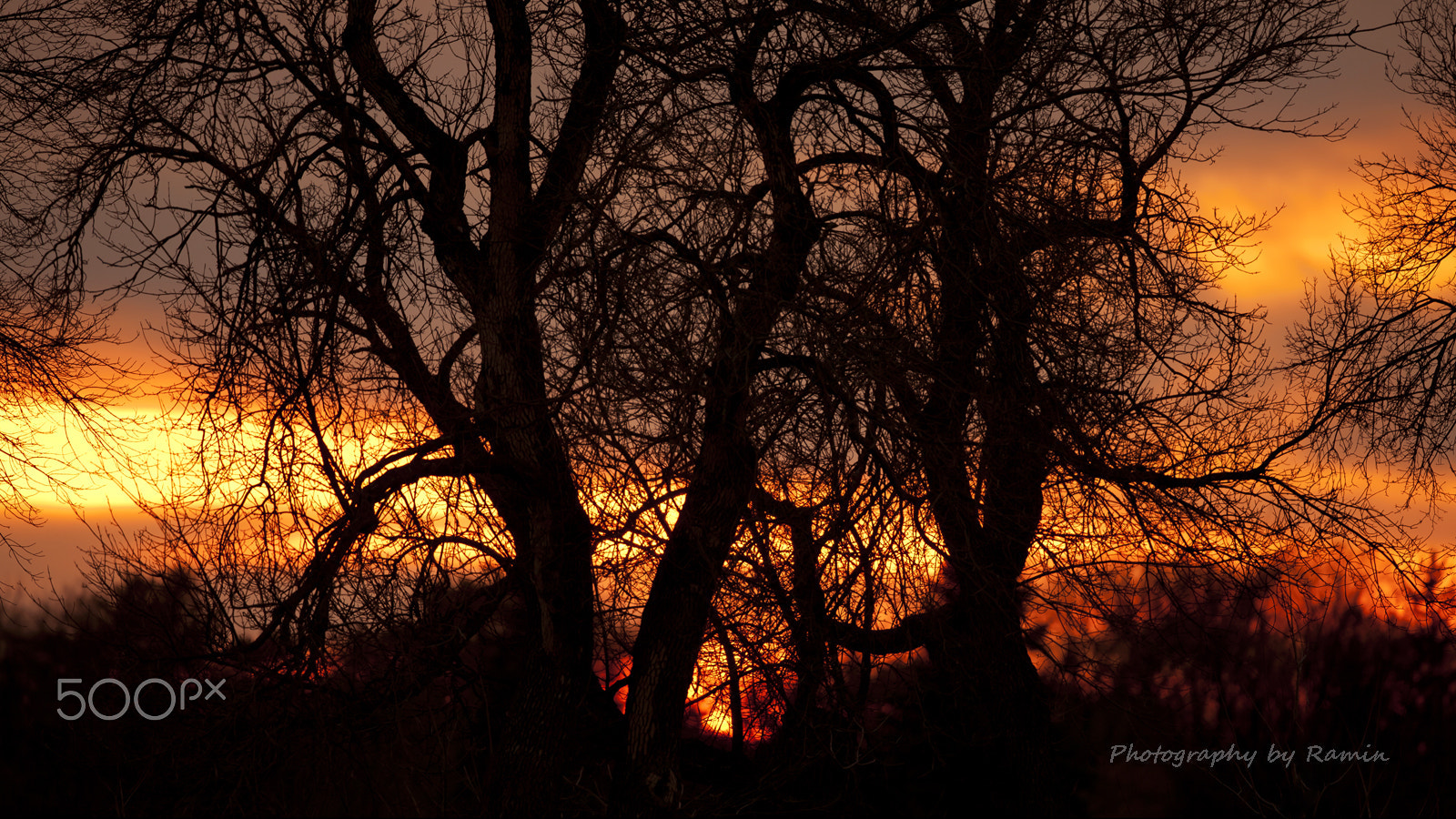 Canon EF 500mm F4L IS II USM sample photo. Sunset & beauty photography