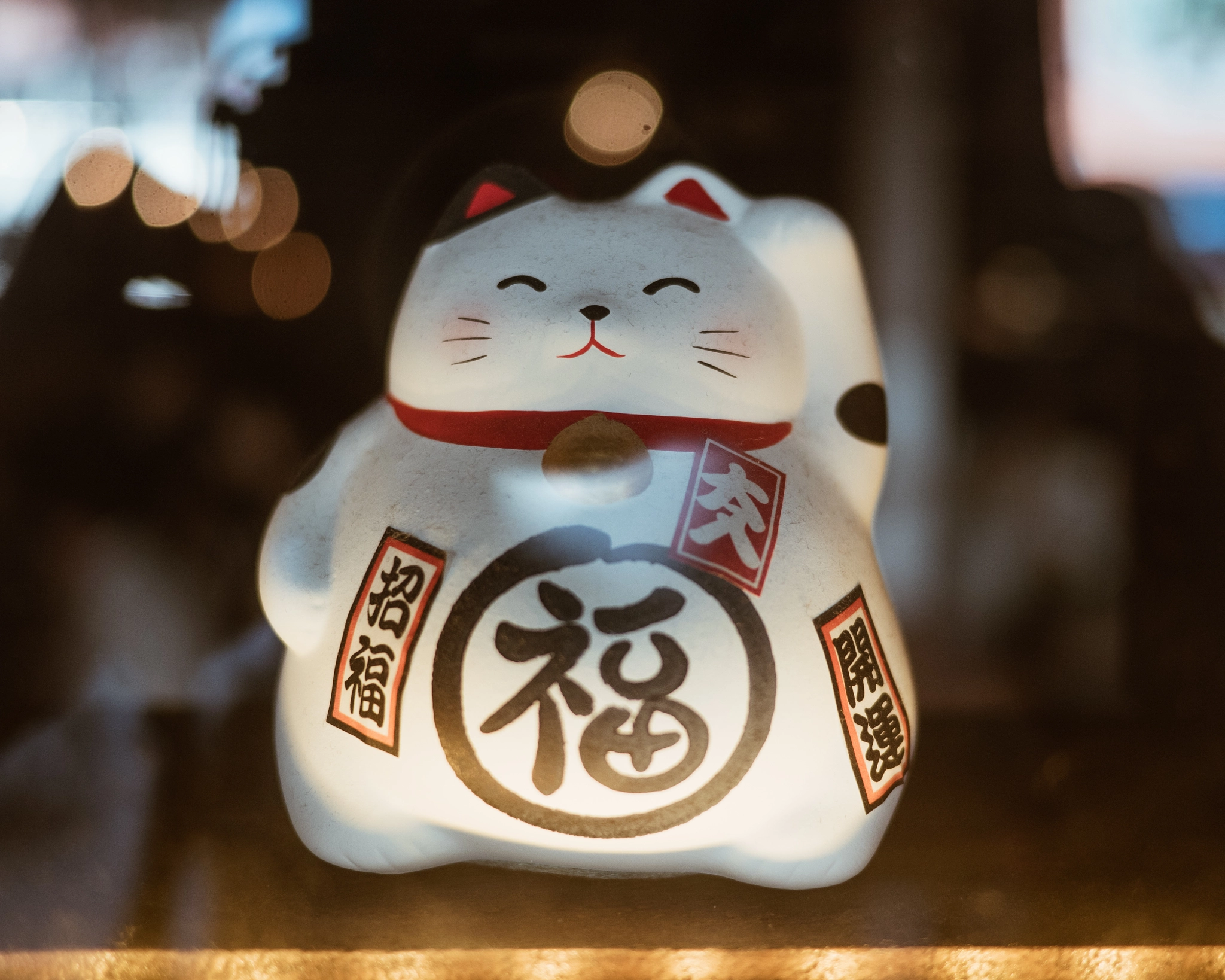 Olympus OM-D E-M5 II + LUMIX G 20/F1.7 II sample photo. Project 365, day three hundred and fifteen - maneki-neko photography