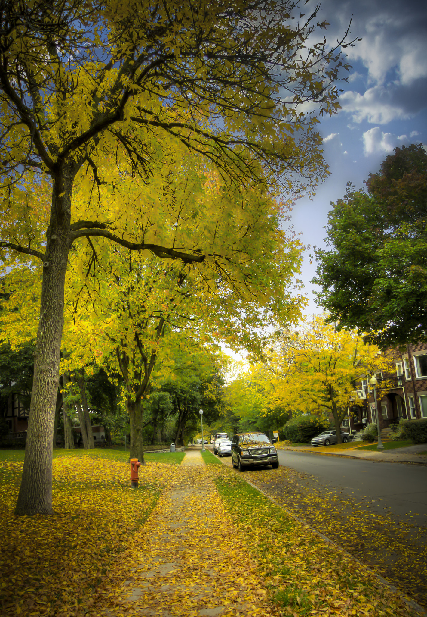 Canon PowerShot SX1 IS sample photo. Autumn street view photography