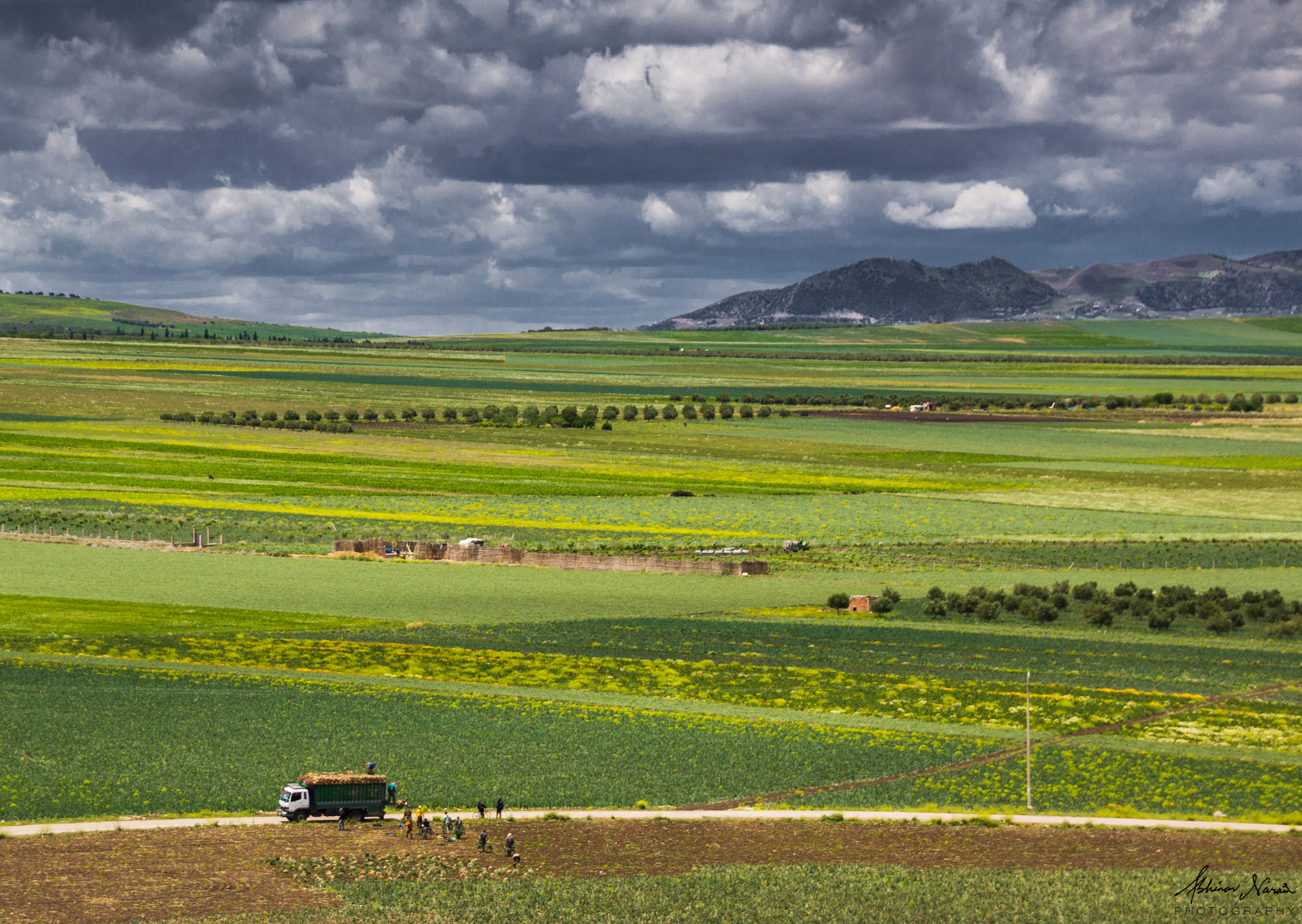 Sigma 18-250mm F3.5-6.3 DC OS HSM sample photo. Field of dreams photography