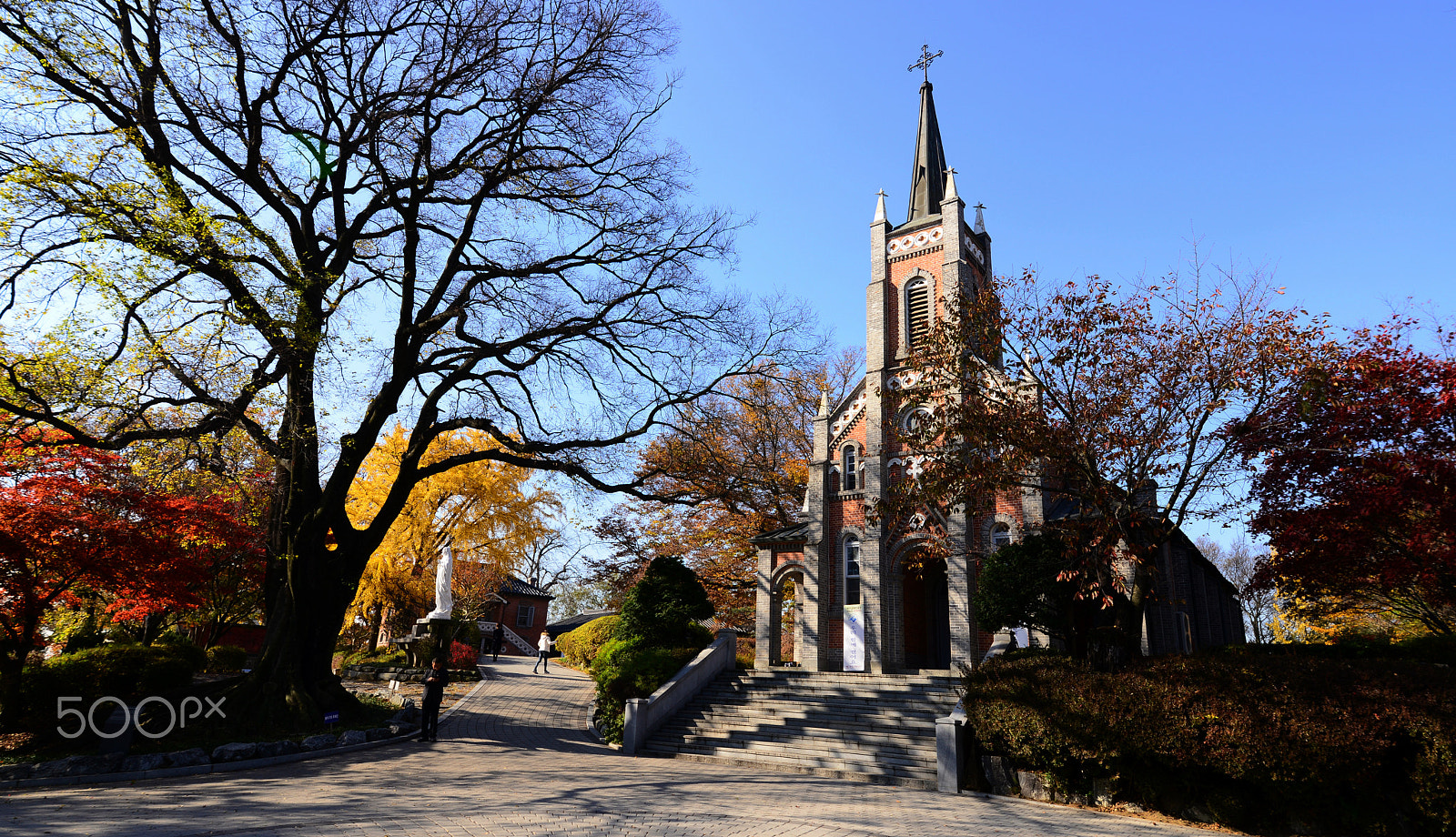 Nikon D800 + Sigma 12-24mm F4.5-5.6 II DG HSM sample photo. Gongseri shrine chtholic church photography