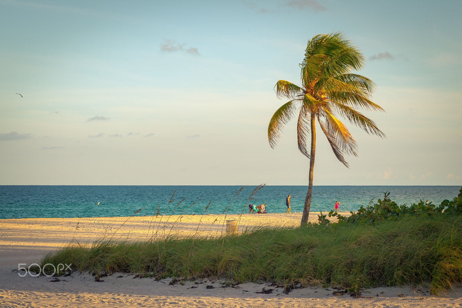 Nikon D610 sample photo. Beach view photography